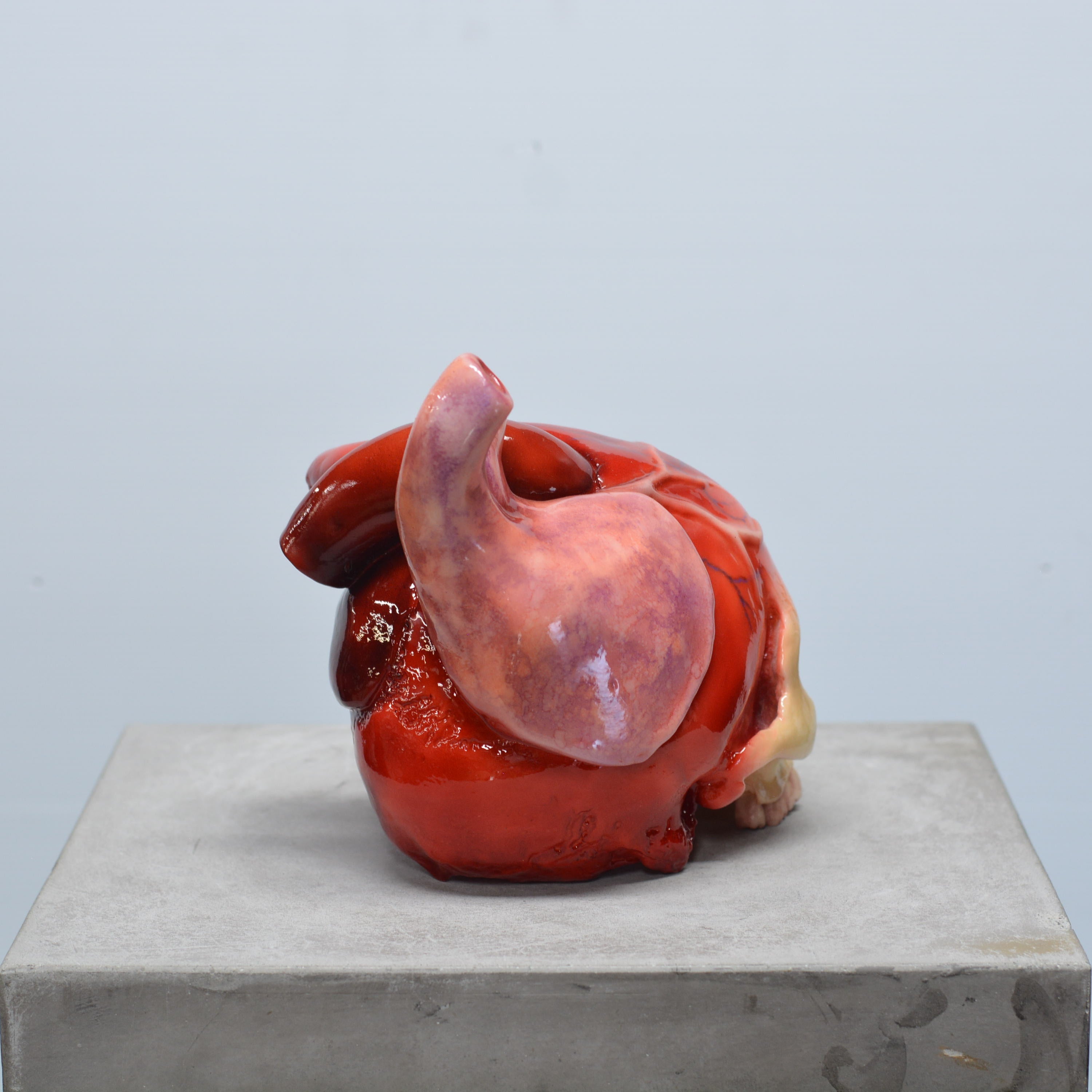 The Tell-Tale Heart Skull [SCRATCH & DENT] (5)