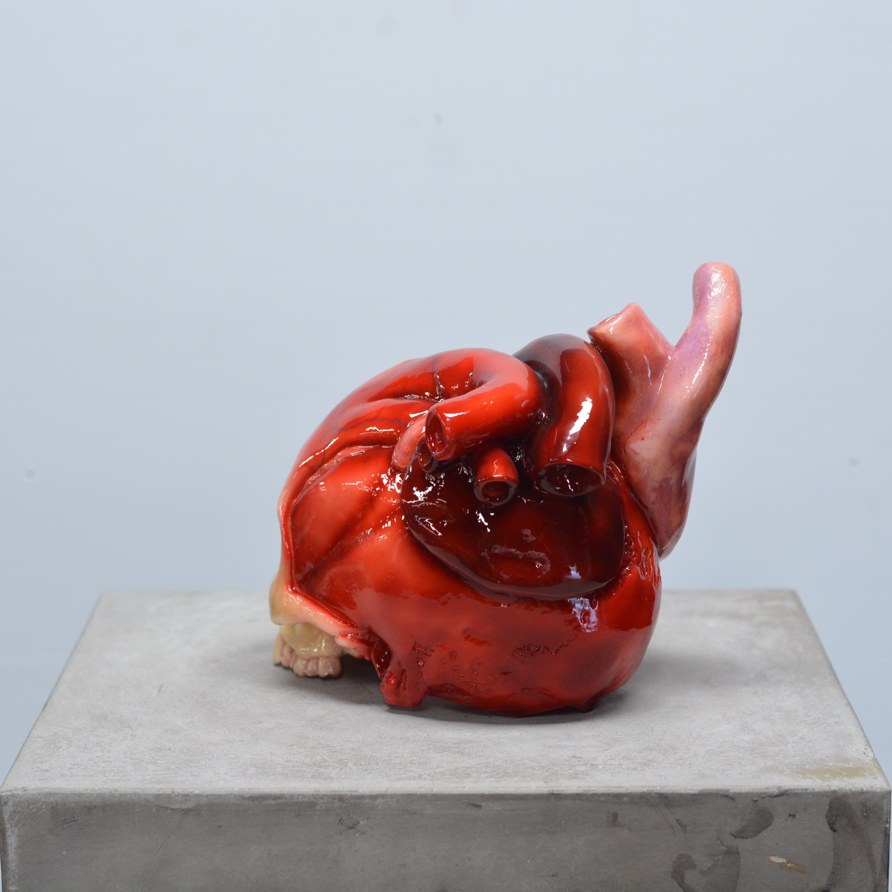 The Tell-Tale Heart Skull [SCRATCH & DENT] (5)