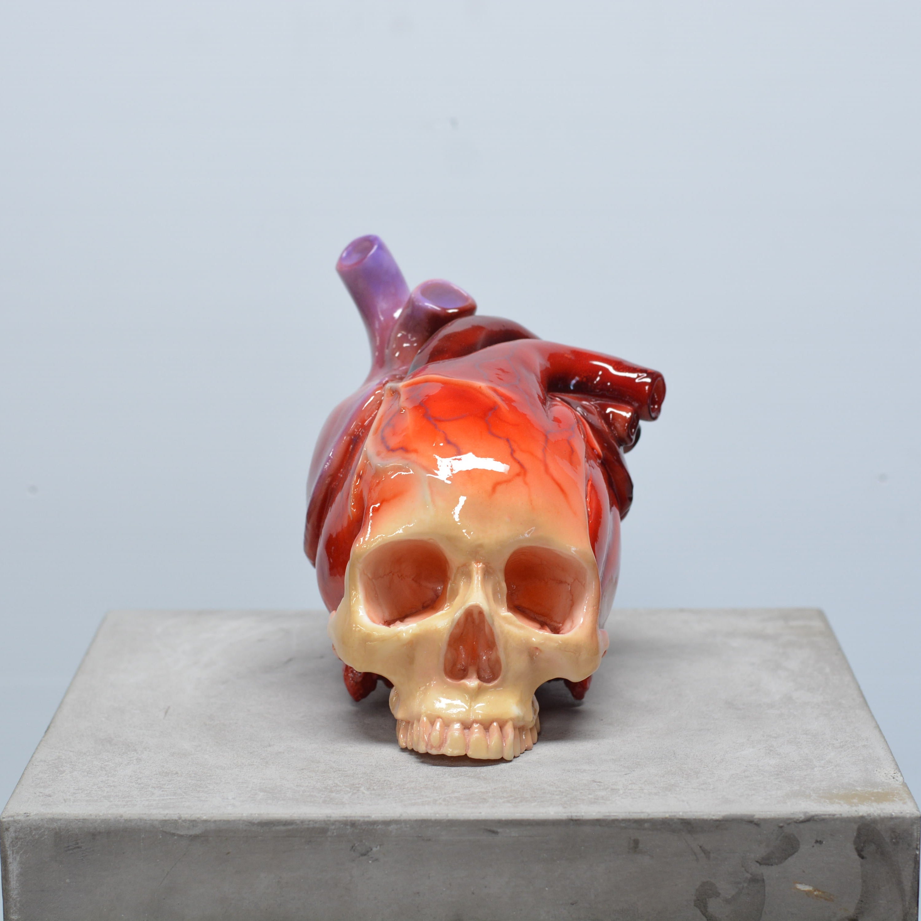 The Tell-Tale Heart Skull [SCRATCH & DENT] (4)