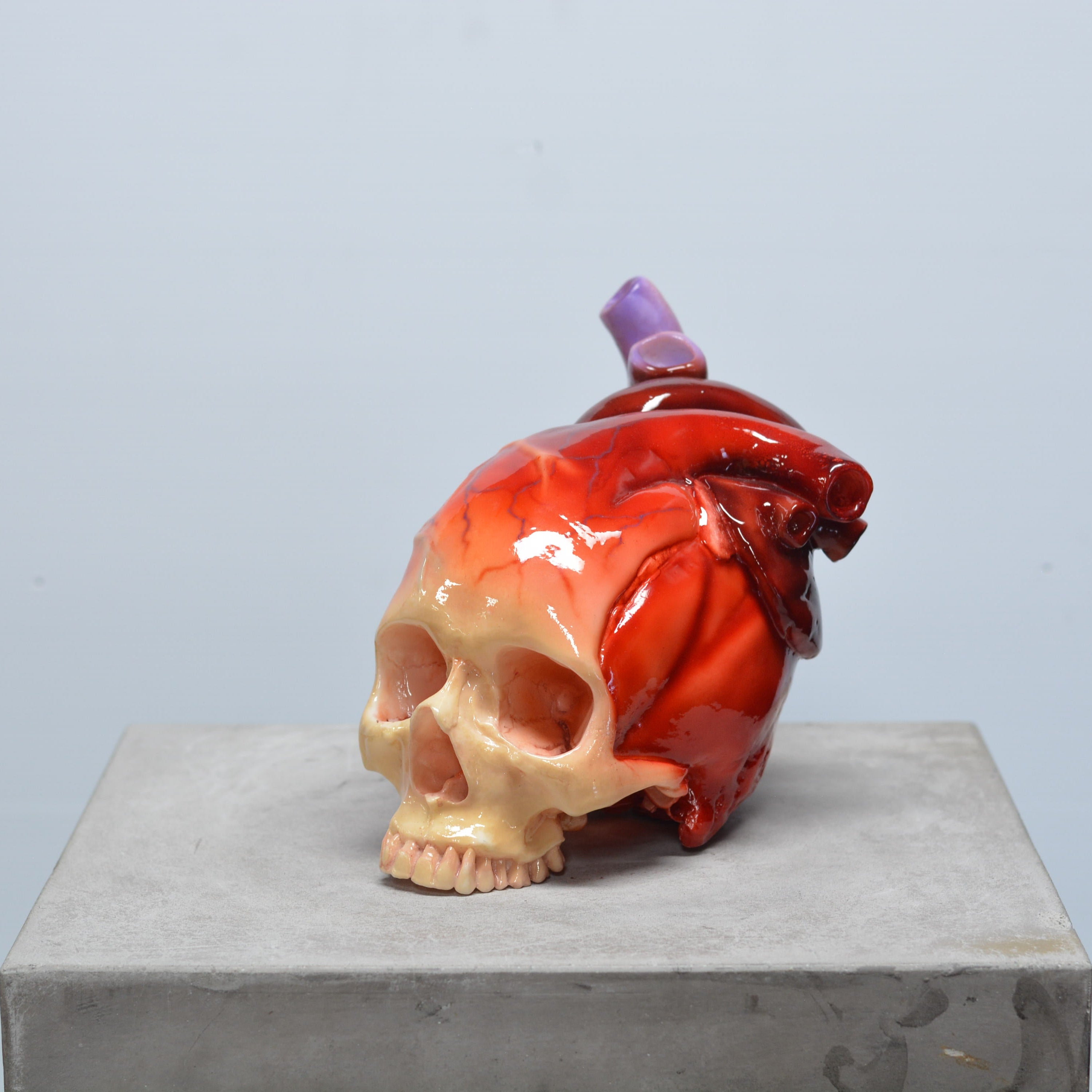 The Tell-Tale Heart Skull [SCRATCH & DENT] (4)