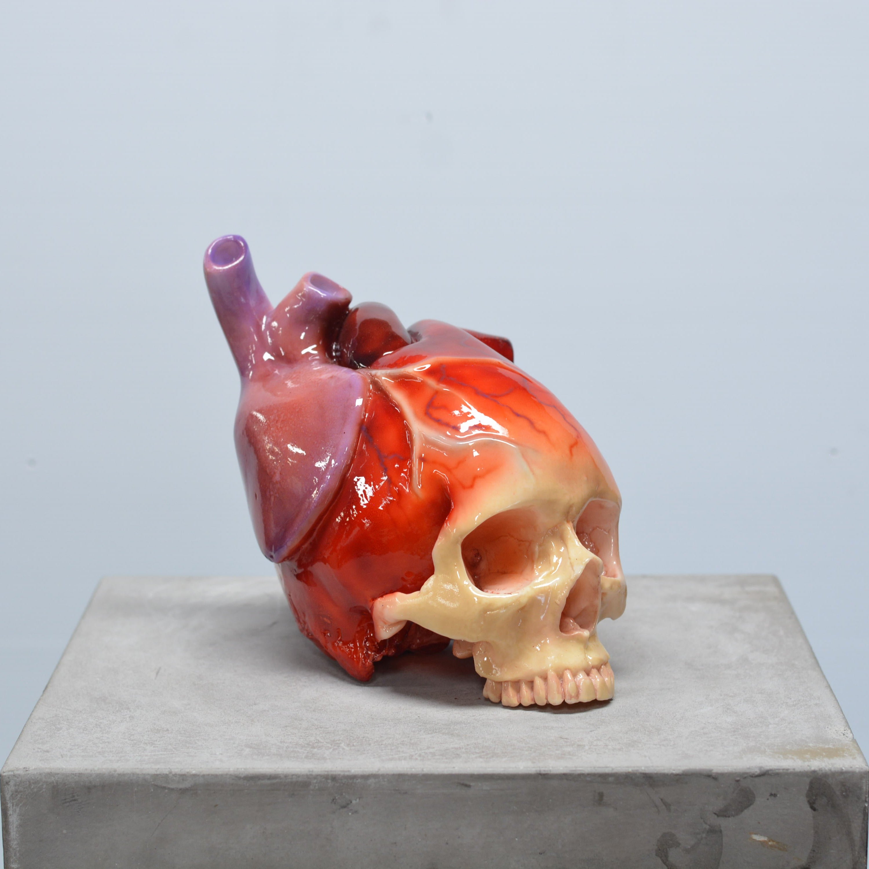 The Tell-Tale Heart Skull [SCRATCH & DENT] (4)