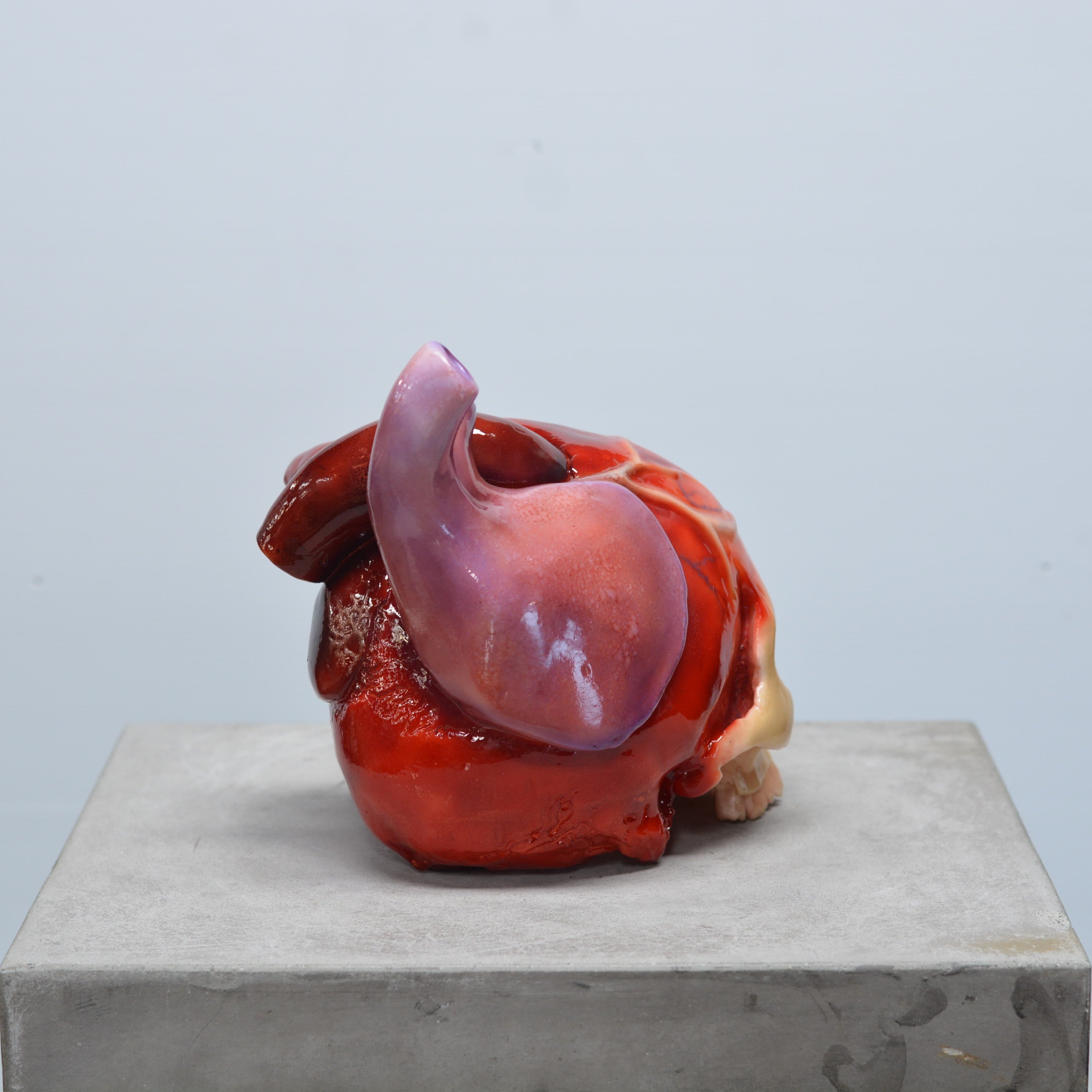 The Tell-Tale Heart Skull [SCRATCH & DENT] (4)