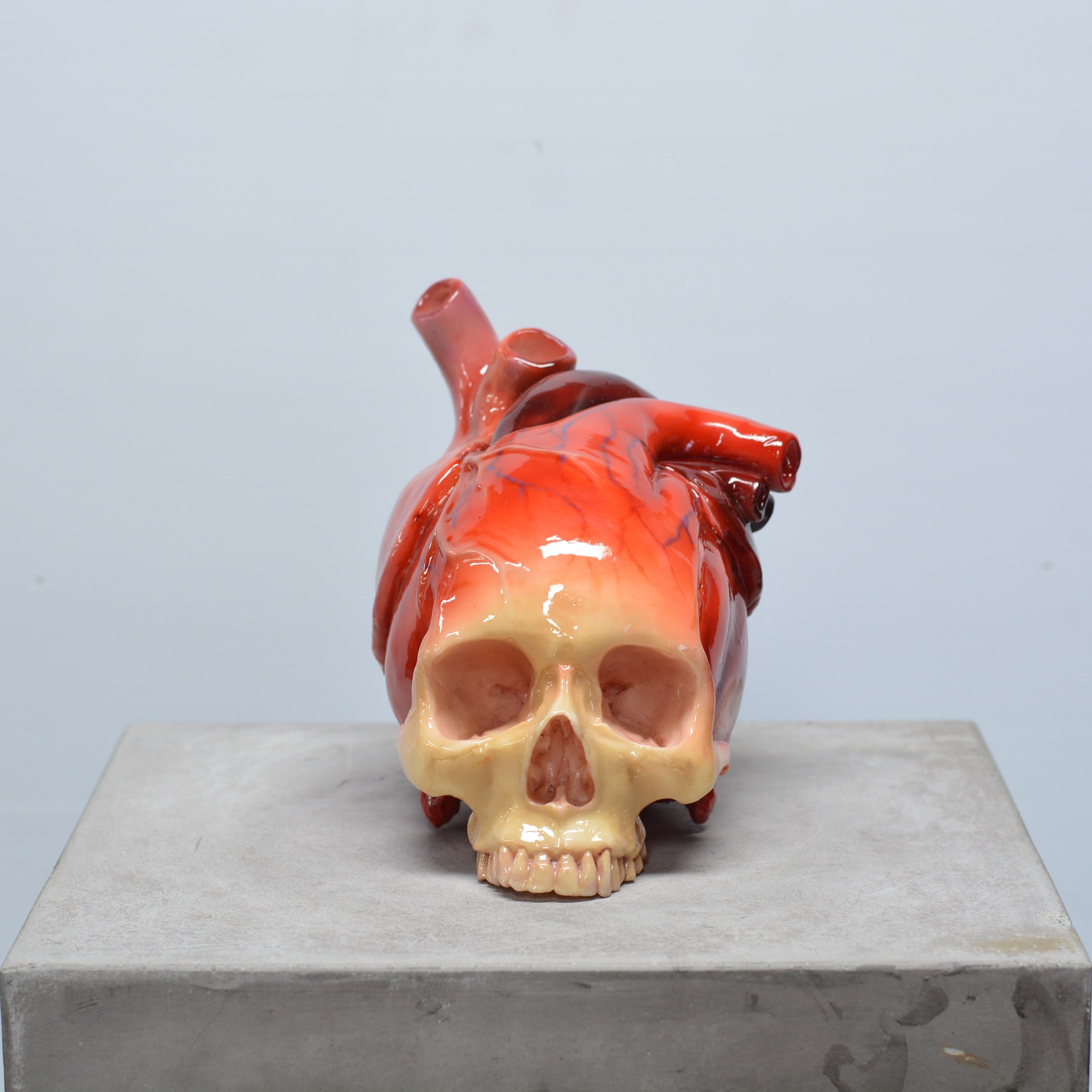 The Tell-Tale Heart Skull [SCRATCH & DENT] (6)