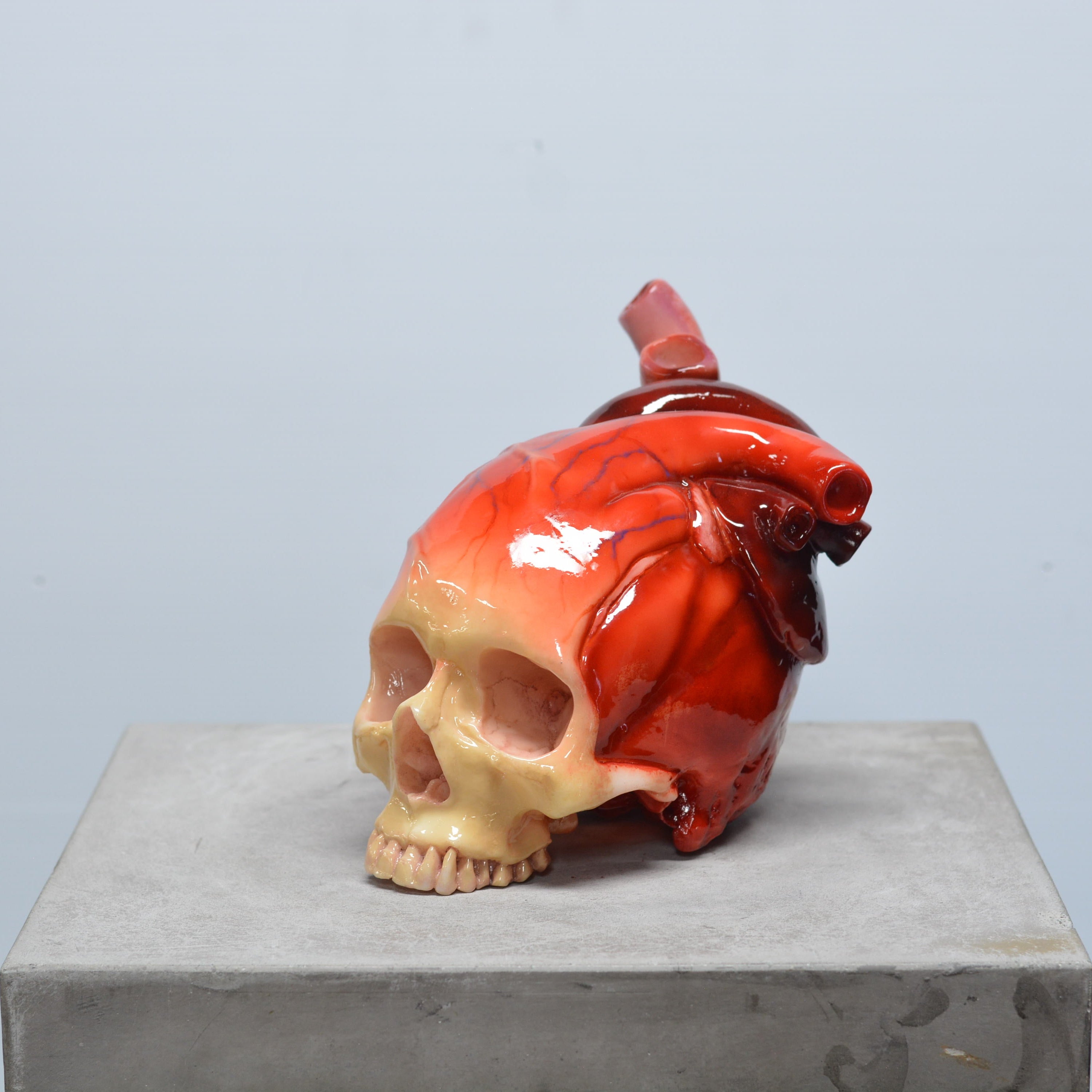 The Tell-Tale Heart Skull [SCRATCH & DENT] (6)