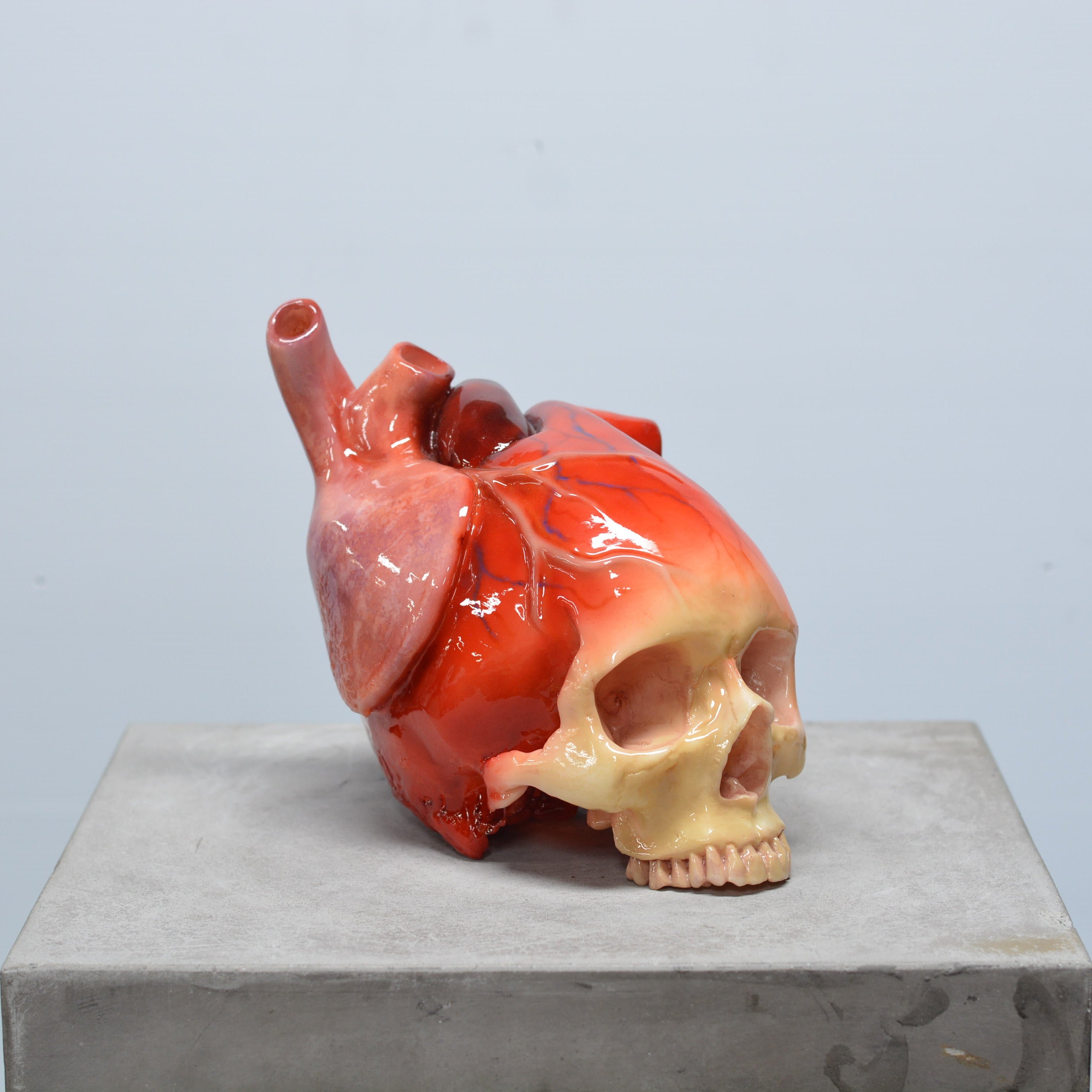 The Tell-Tale Heart Skull [SCRATCH & DENT] (6)