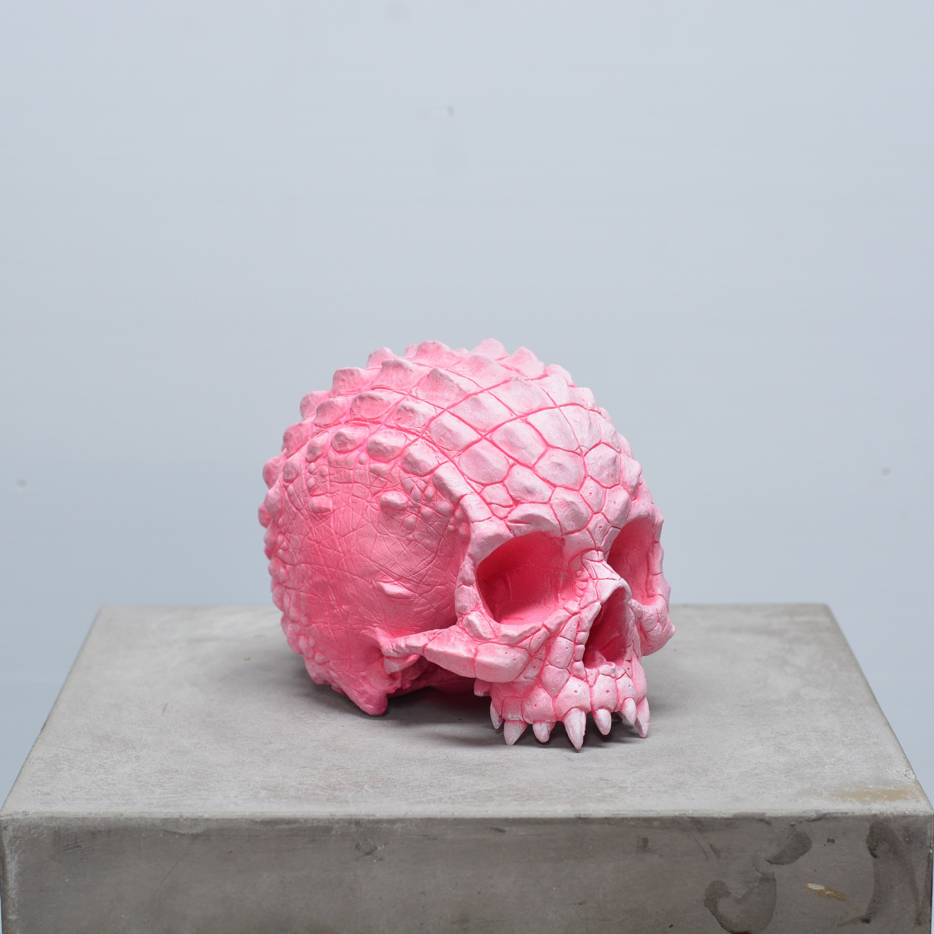 Croc Skull - Pink [EXPERIMENTAL PAINT]