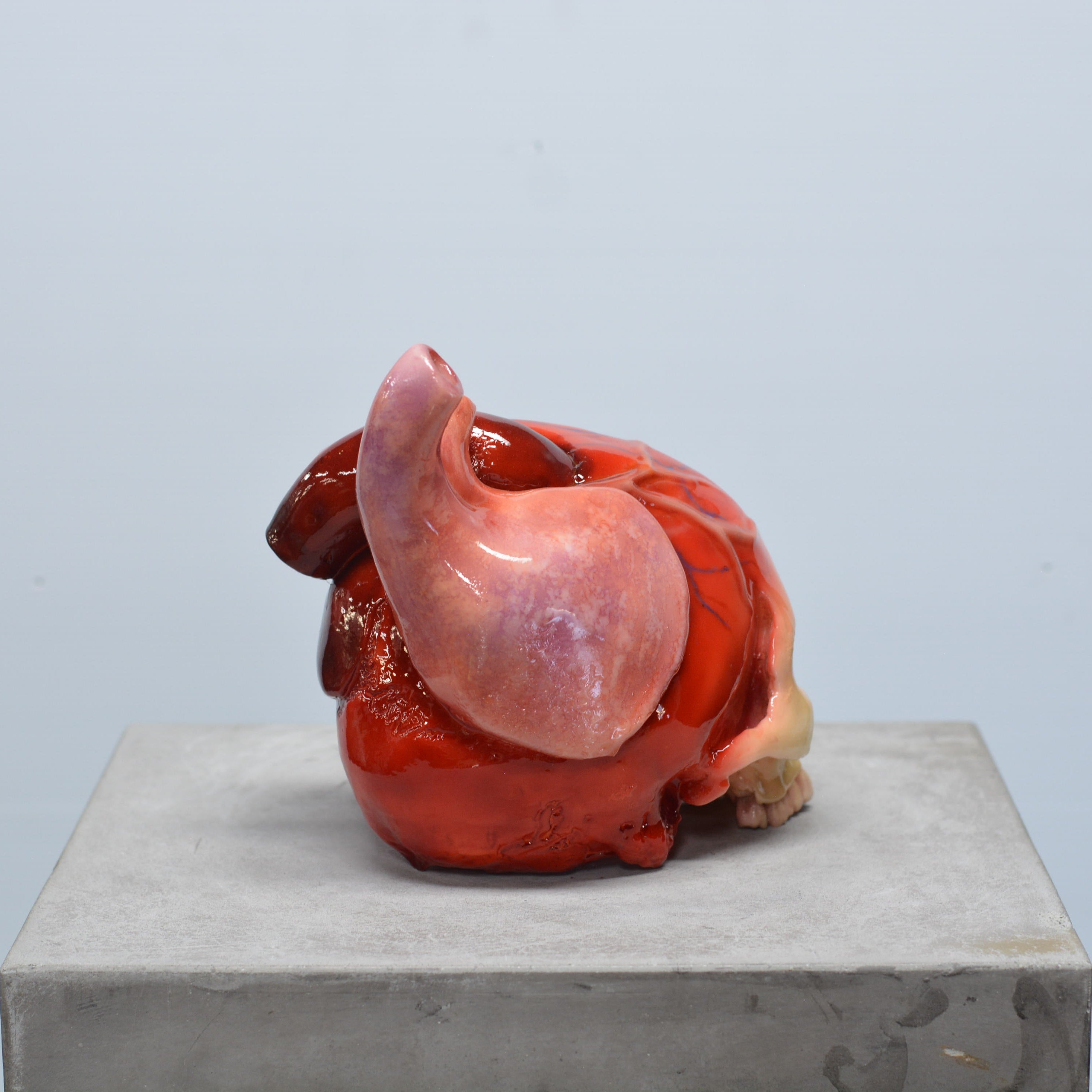 The Tell-Tale Heart Skull [SCRATCH & DENT] (6)