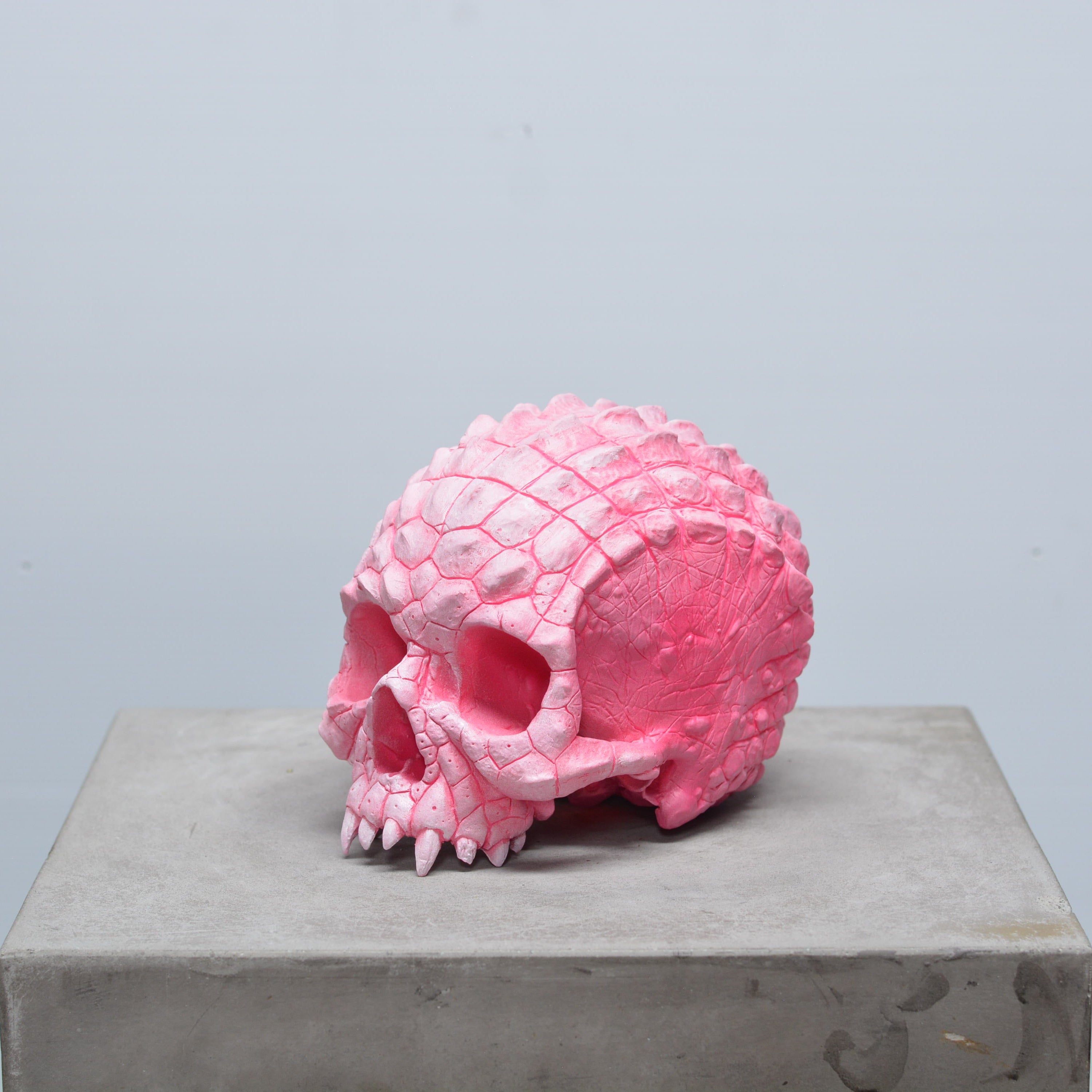 Croc Skull - Pink [EXPERIMENTAL PAINT]