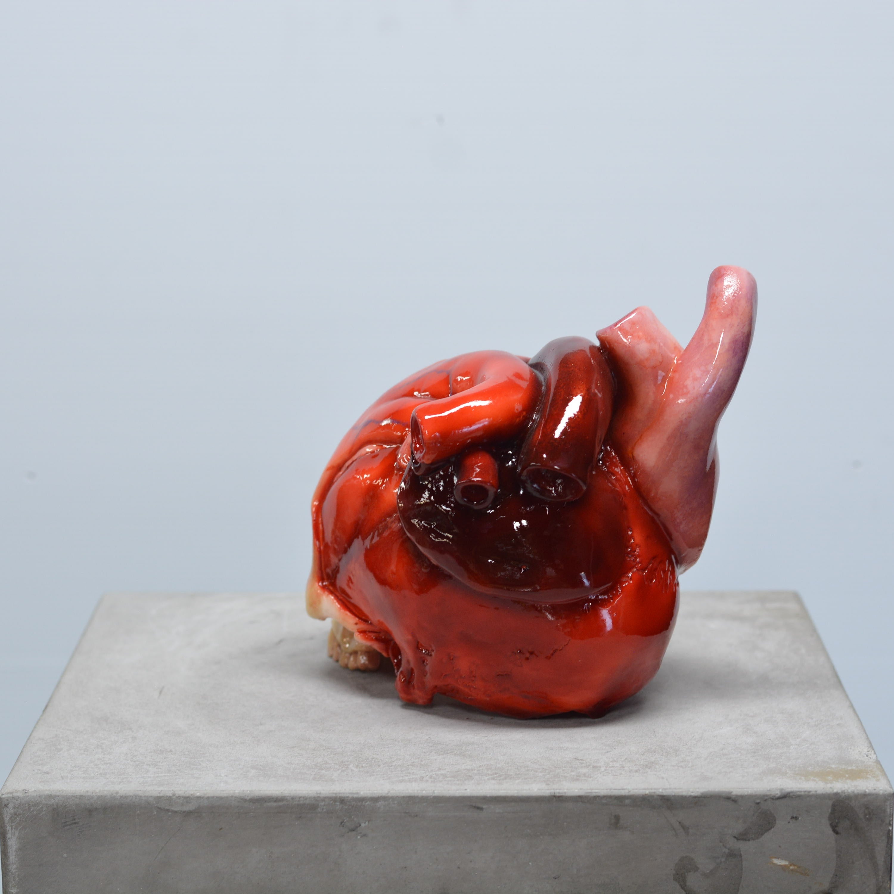 The Tell-Tale Heart Skull [SCRATCH & DENT] (6)