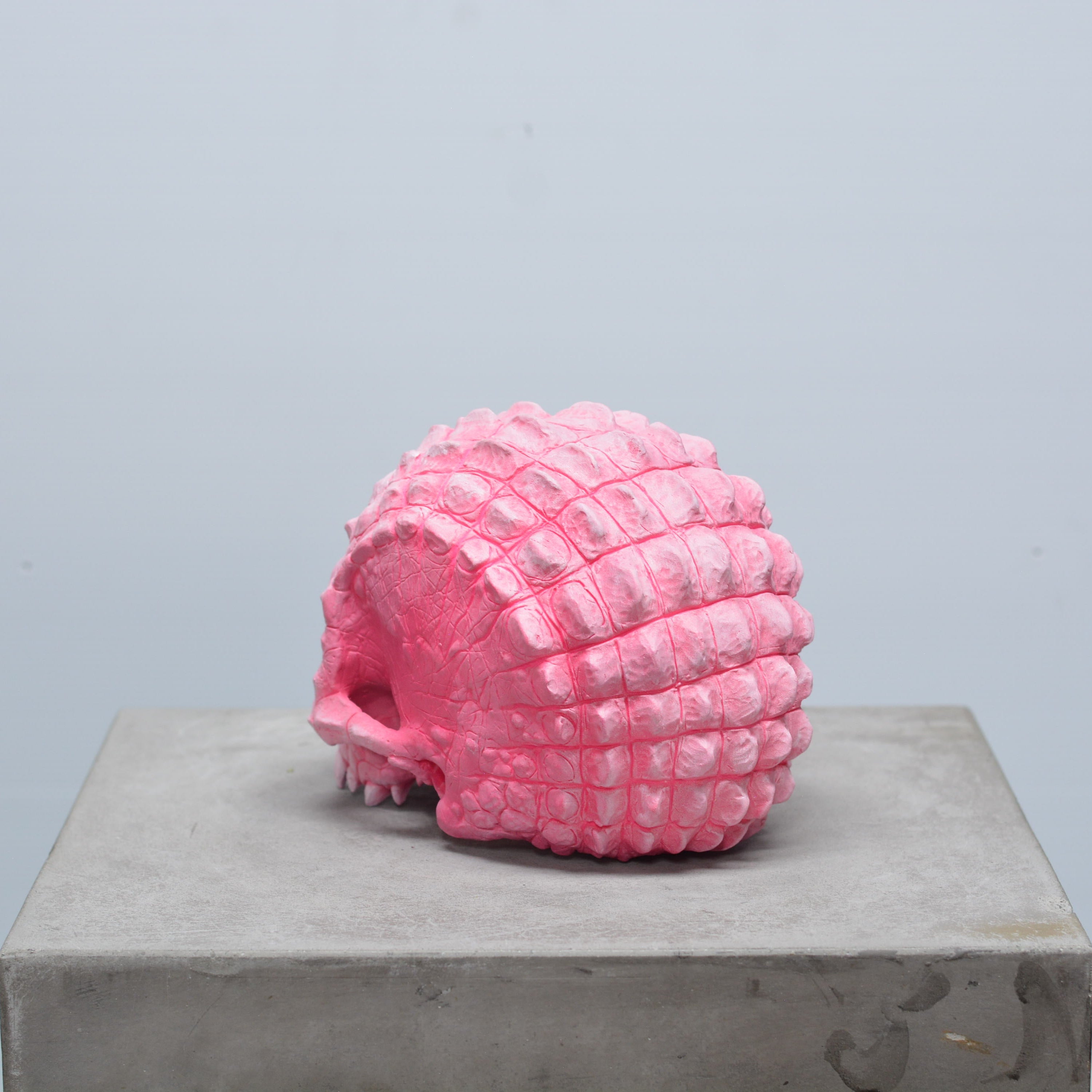 Croc Skull - Pink [EXPERIMENTAL PAINT]