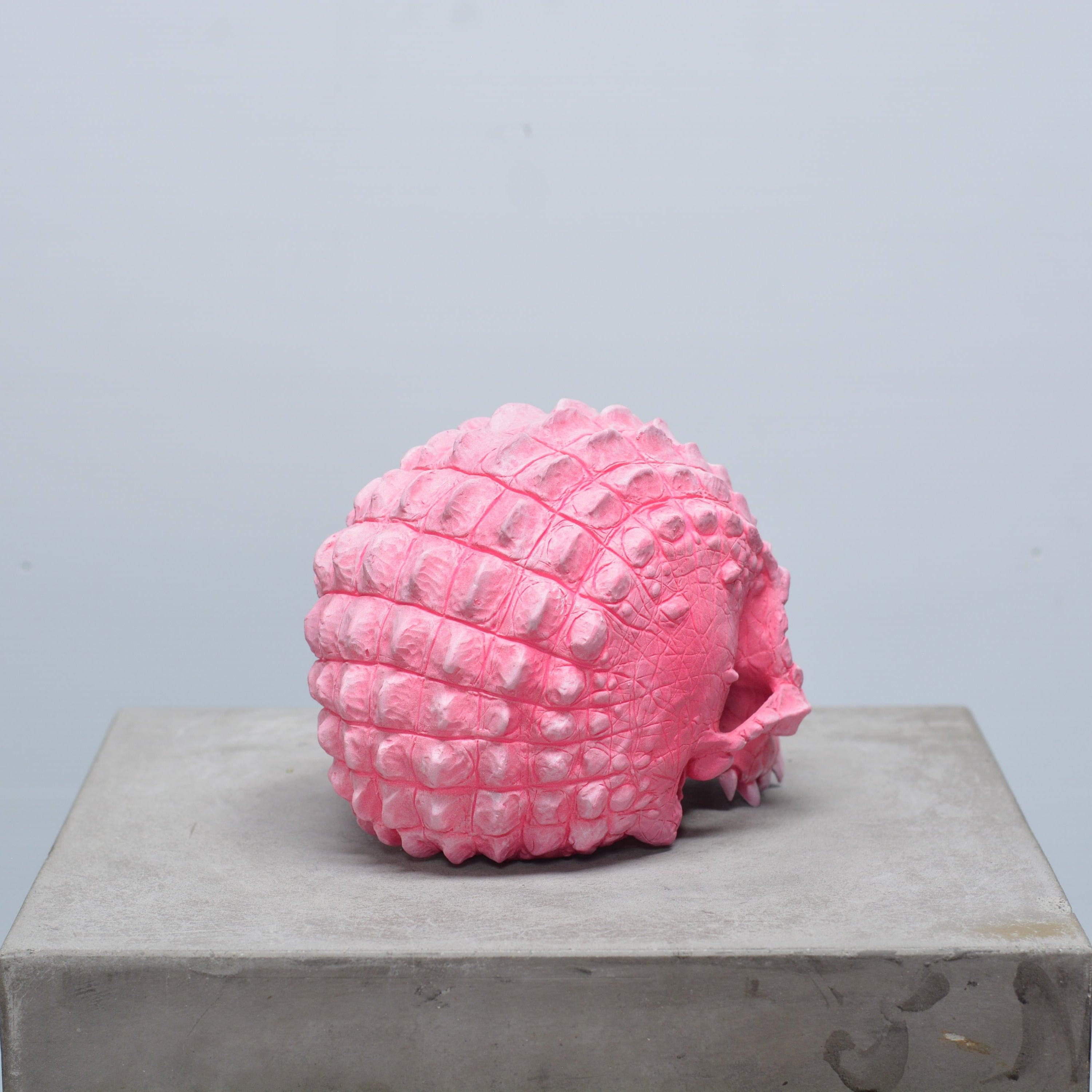 Croc Skull - Pink [EXPERIMENTAL PAINT]