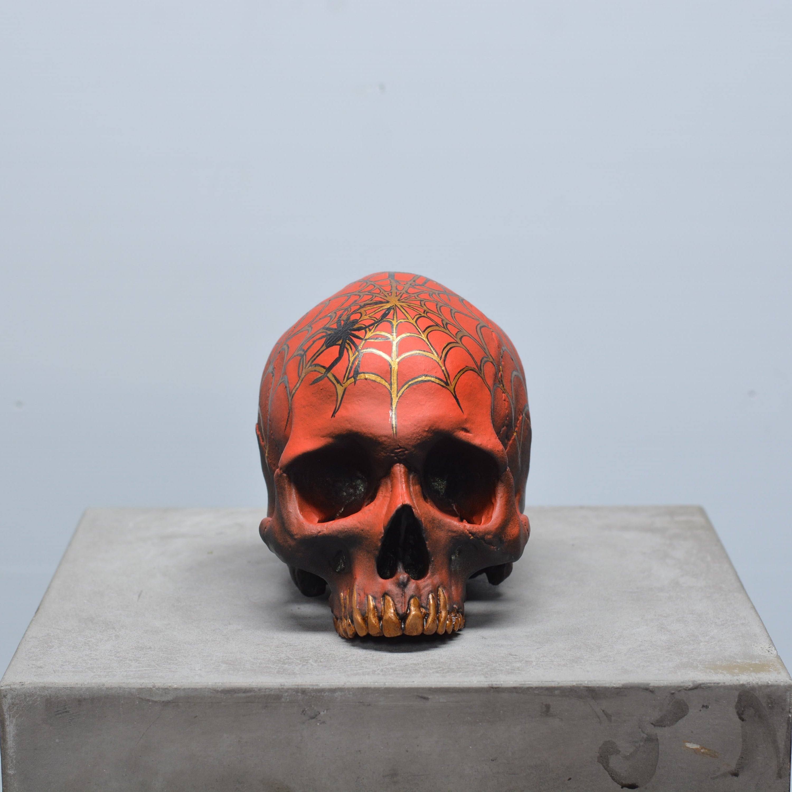 Human Skull - Spider Grillz [EXPERIMENTAL PAINT]