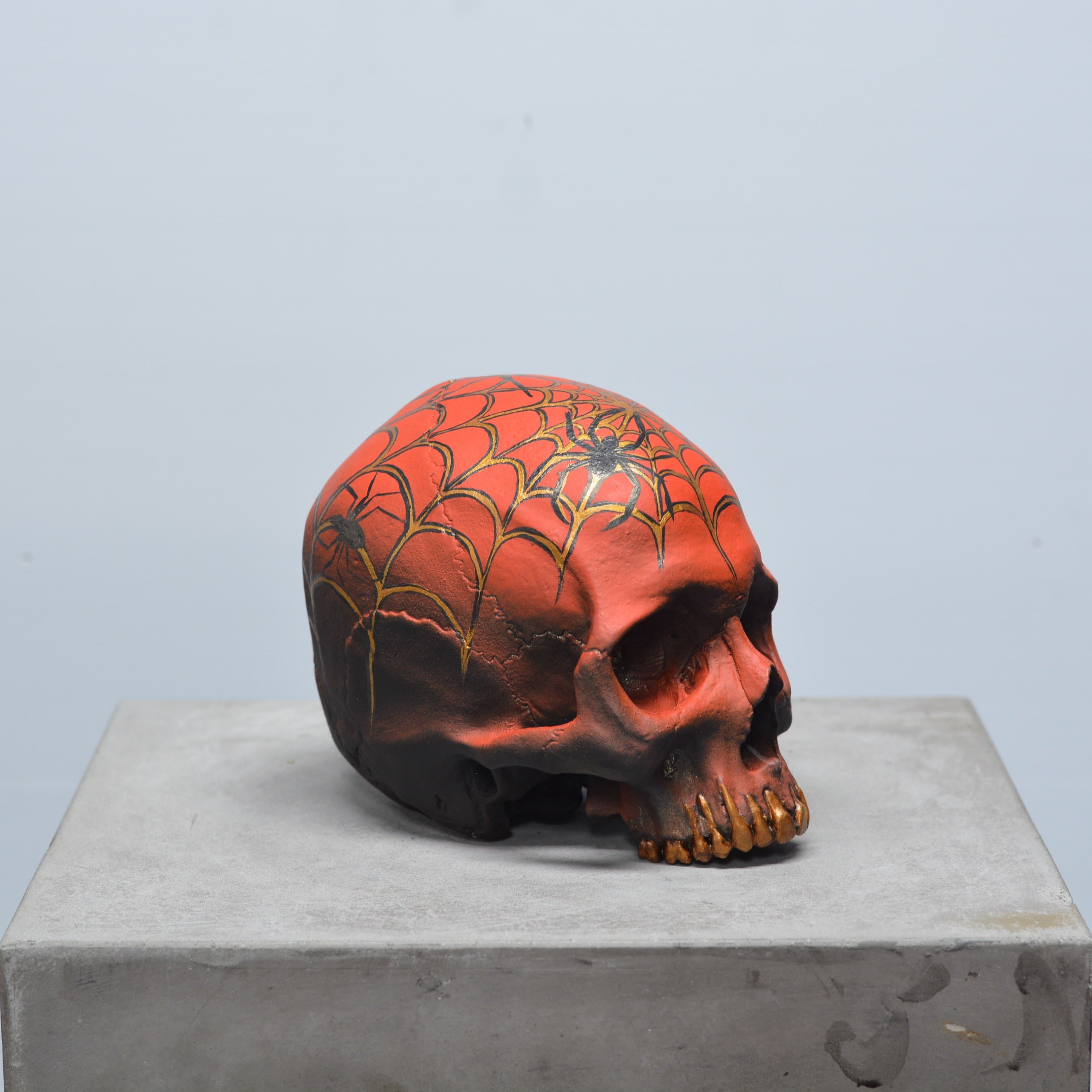 Human Skull - Spider Grillz [EXPERIMENTAL PAINT]