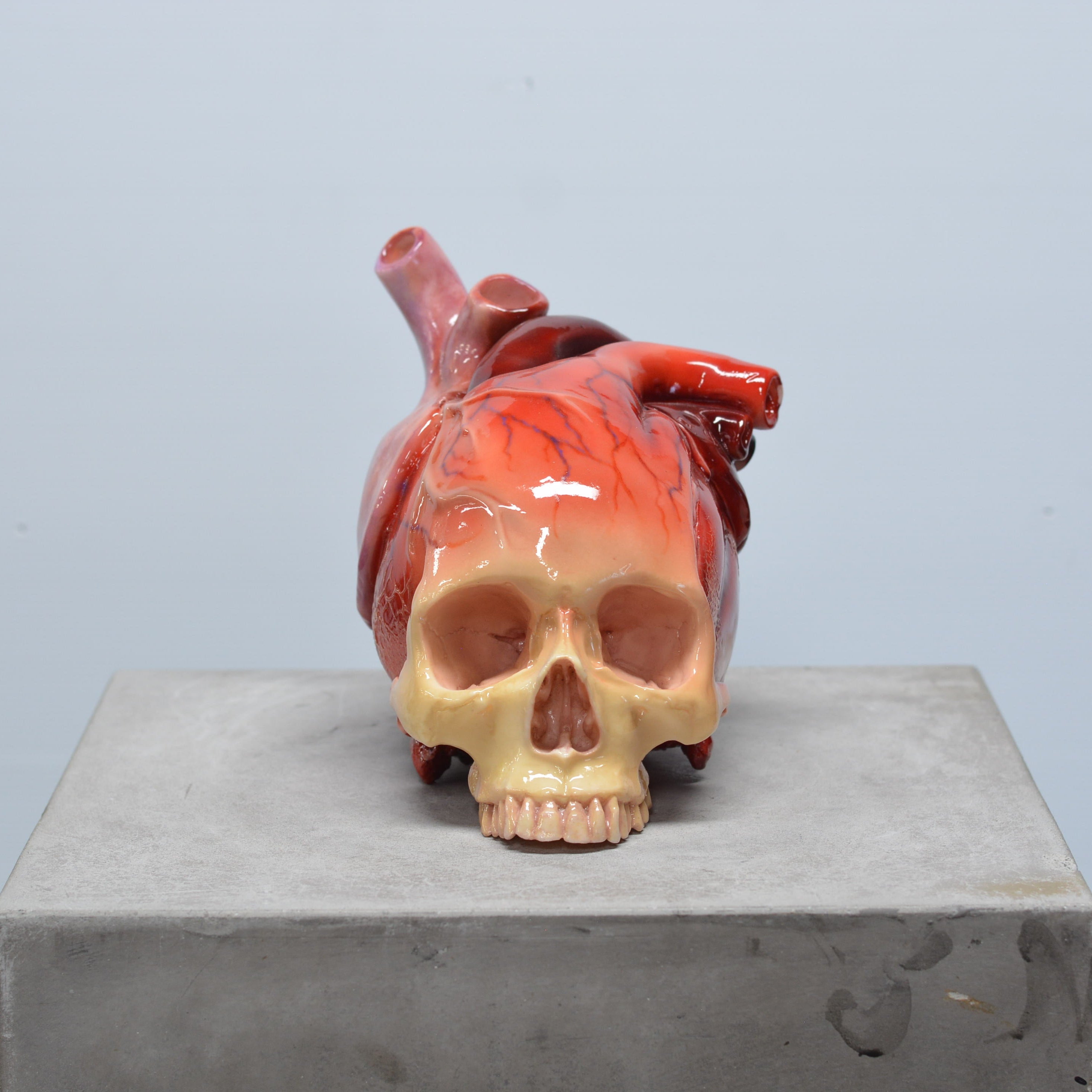 The Tell-Tale Heart Skull [SCRATCH & DENT] (7)