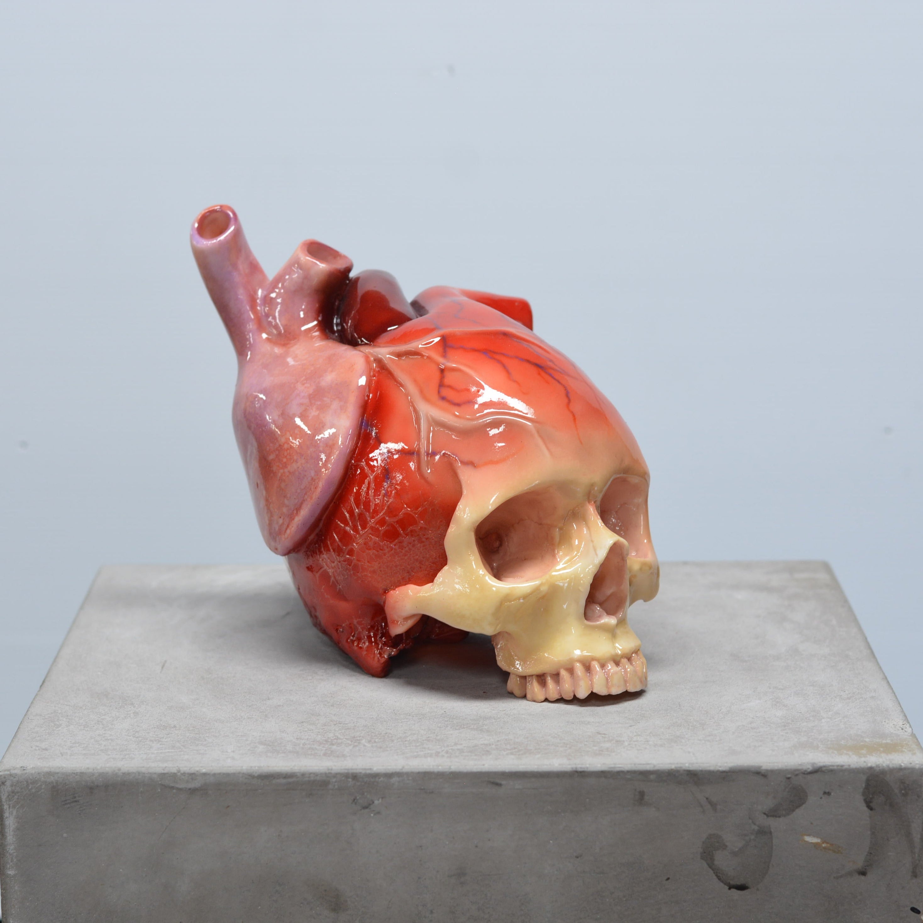 The Tell-Tale Heart Skull [SCRATCH & DENT] (7)