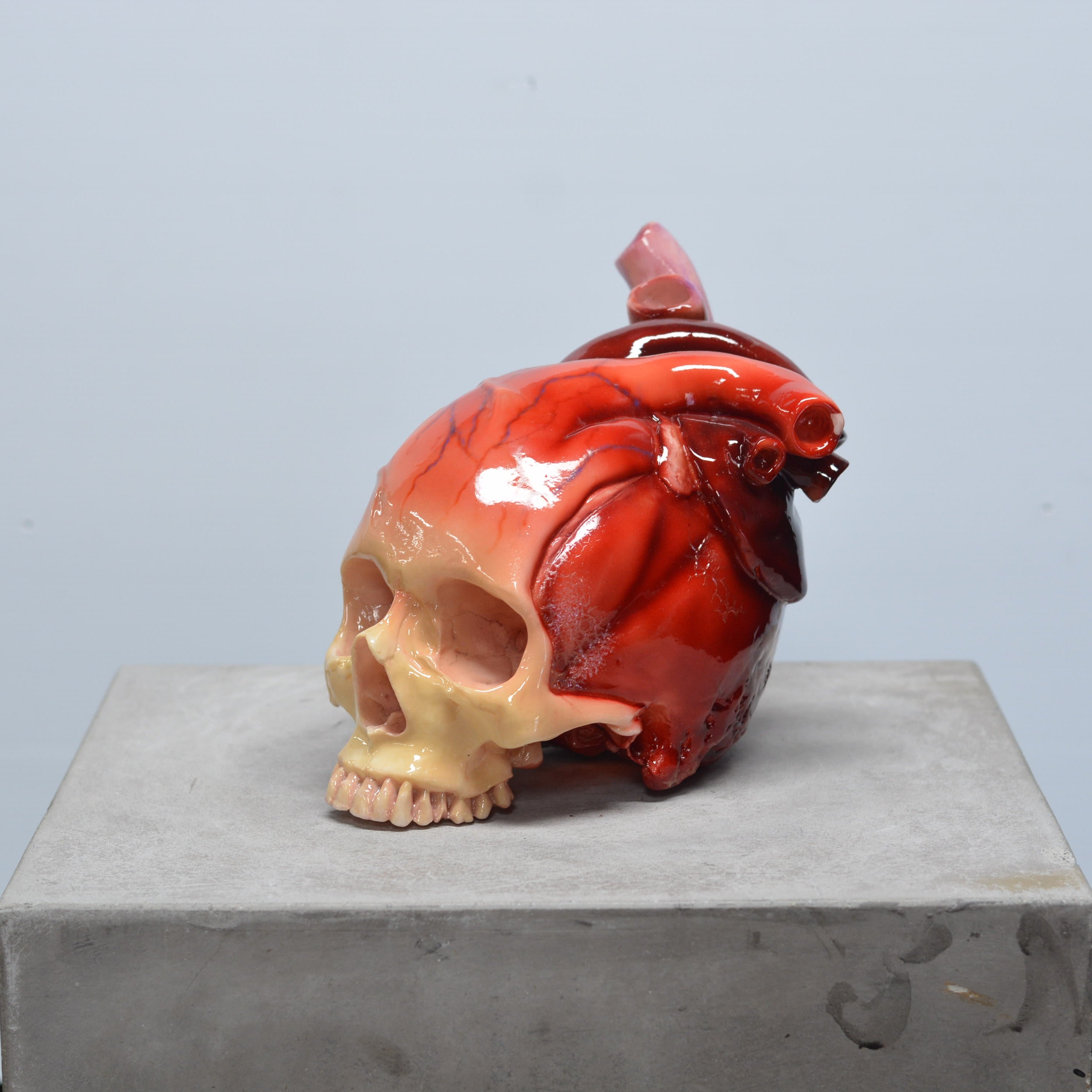 The Tell-Tale Heart Skull [SCRATCH & DENT] (7)