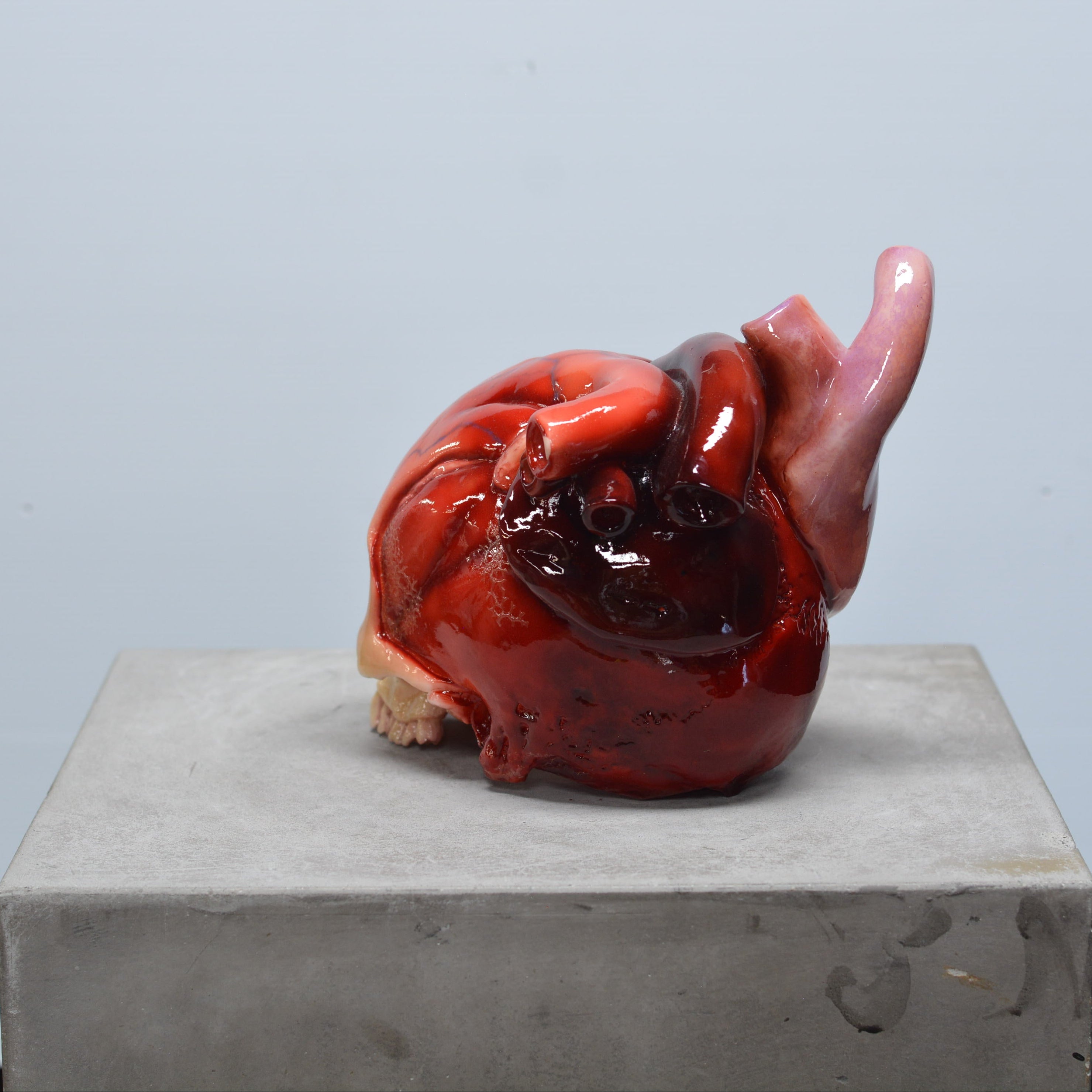The Tell-Tale Heart Skull [SCRATCH & DENT] (7)