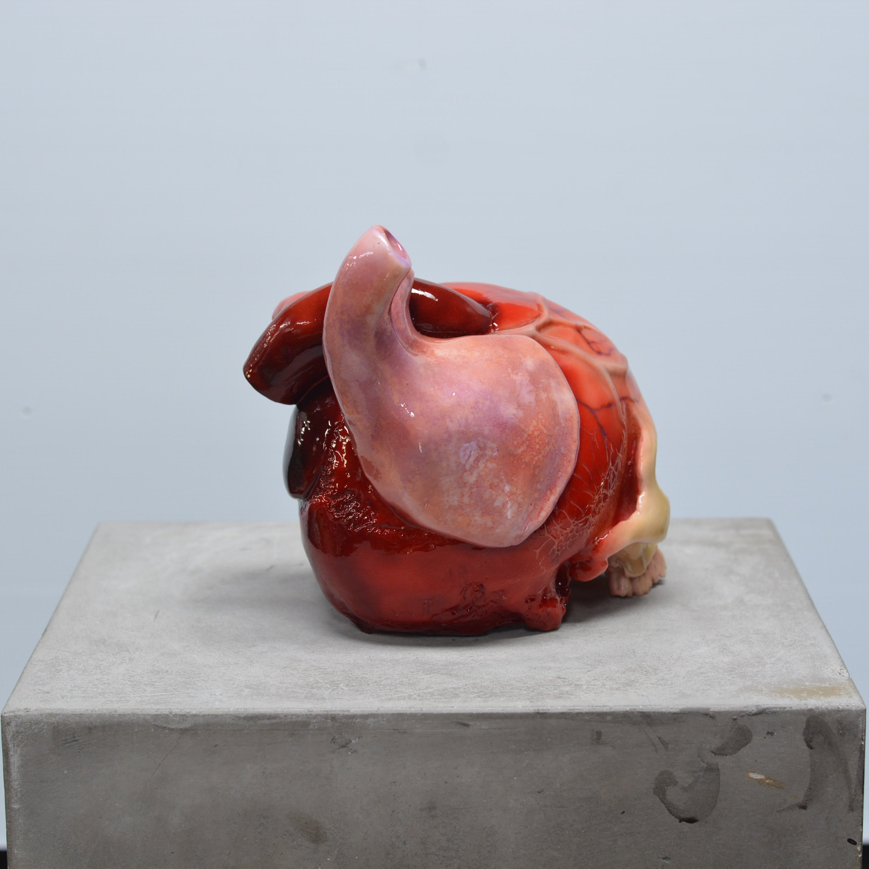 The Tell-Tale Heart Skull [SCRATCH & DENT] (7)