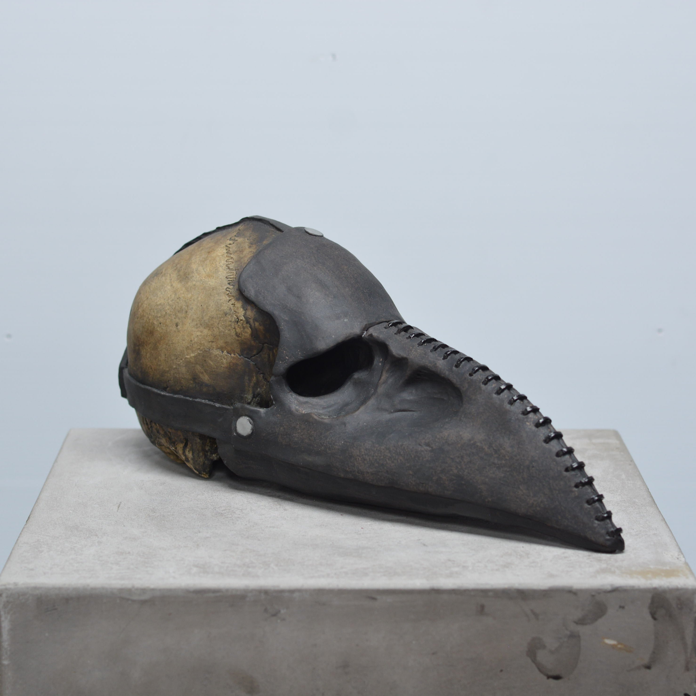 Plague Doctor Skull - Bubonic [EXPERIMENTAL PAINT]
