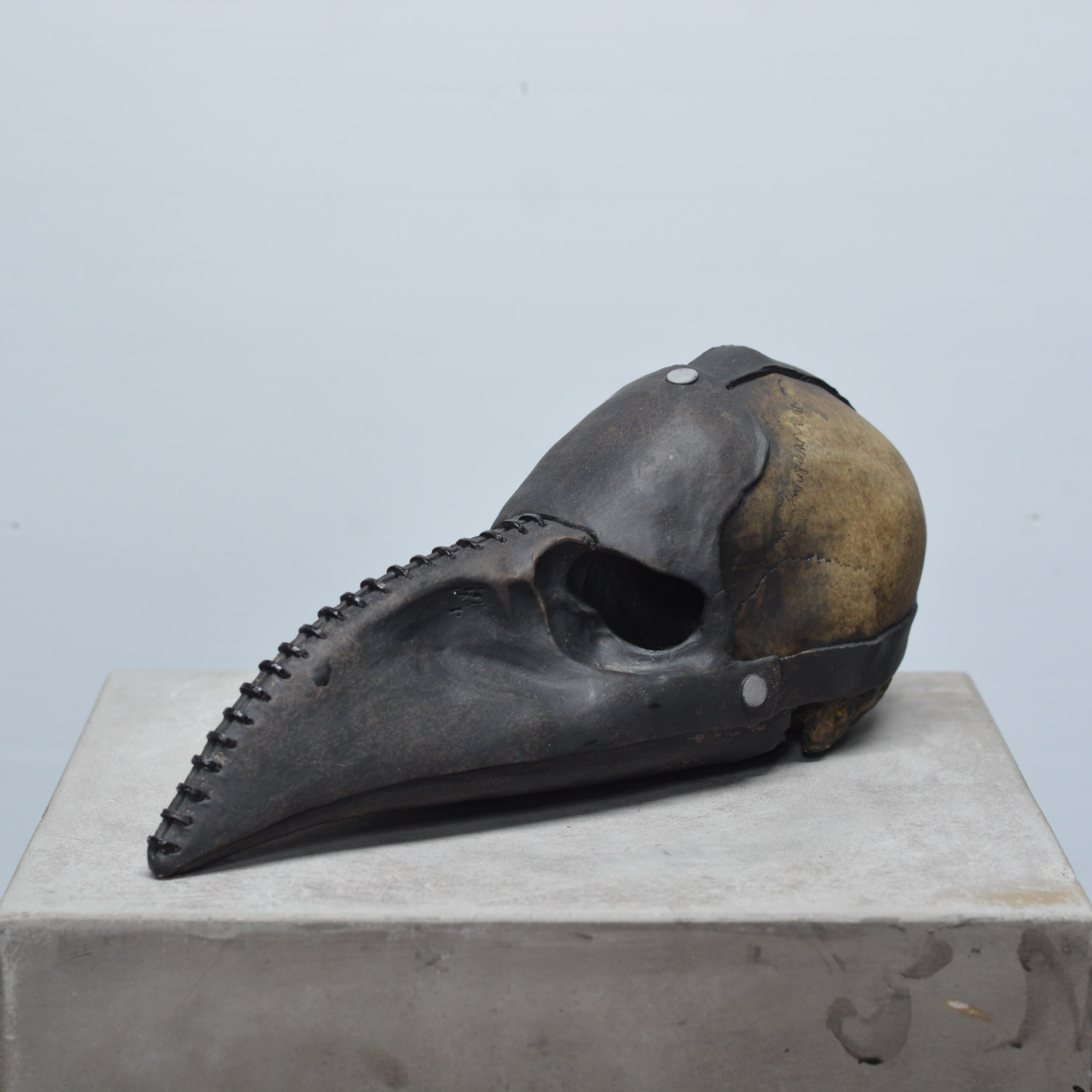 Plague Doctor Skull - Bubonic [EXPERIMENTAL PAINT]