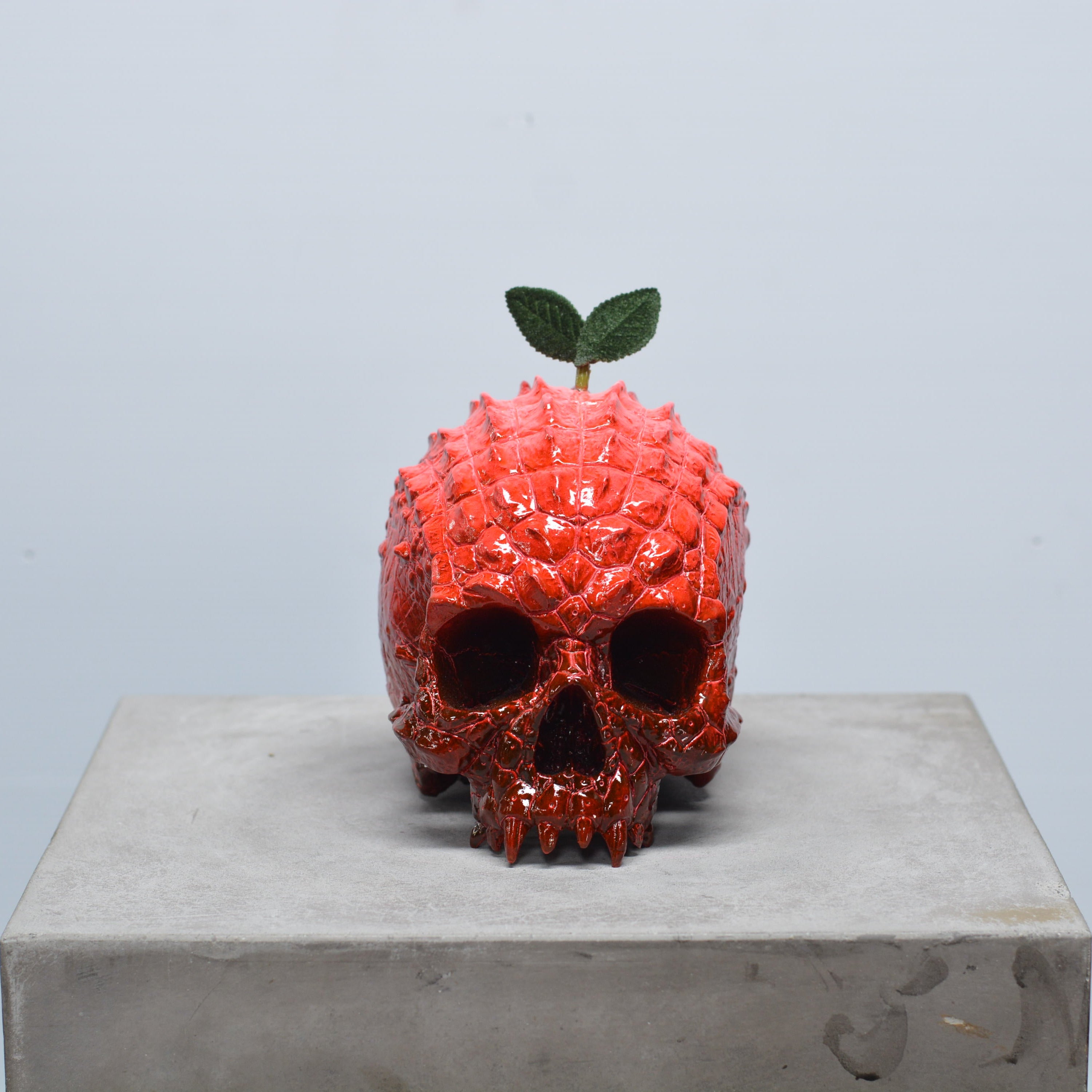 Croc Skull - Cherry [EXPERIMENTAL PAINT]