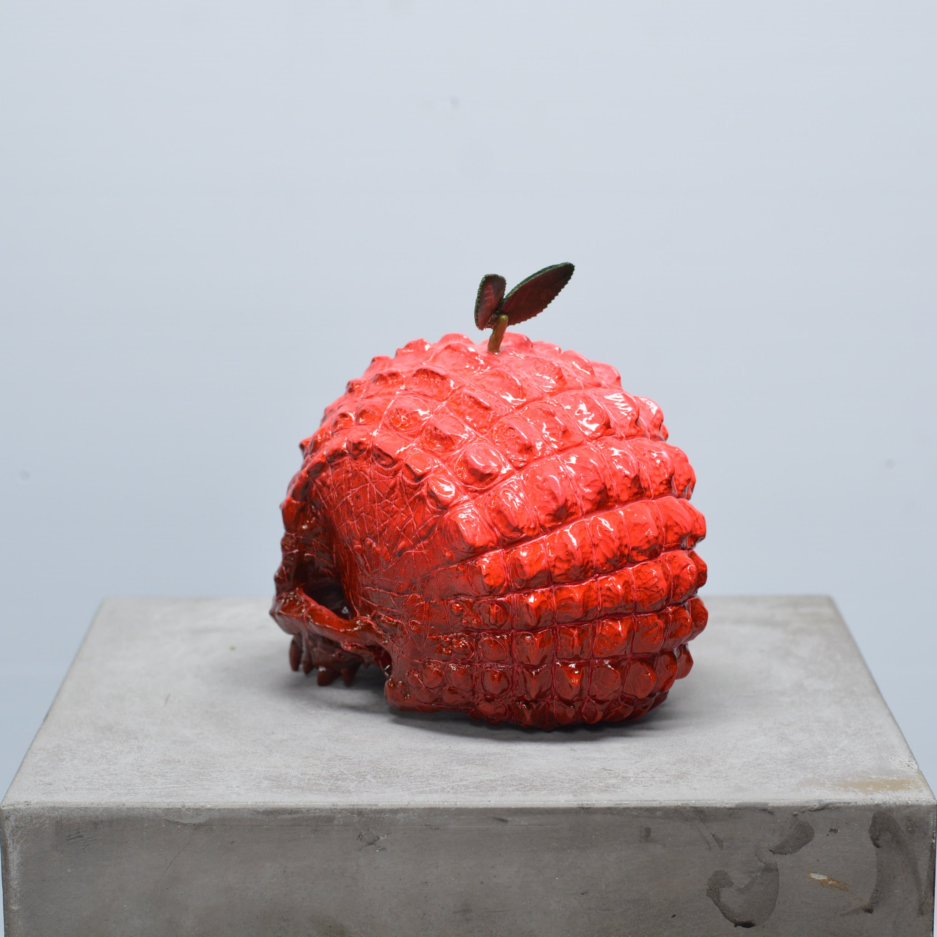 Croc Skull - Cherry [EXPERIMENTAL PAINT]