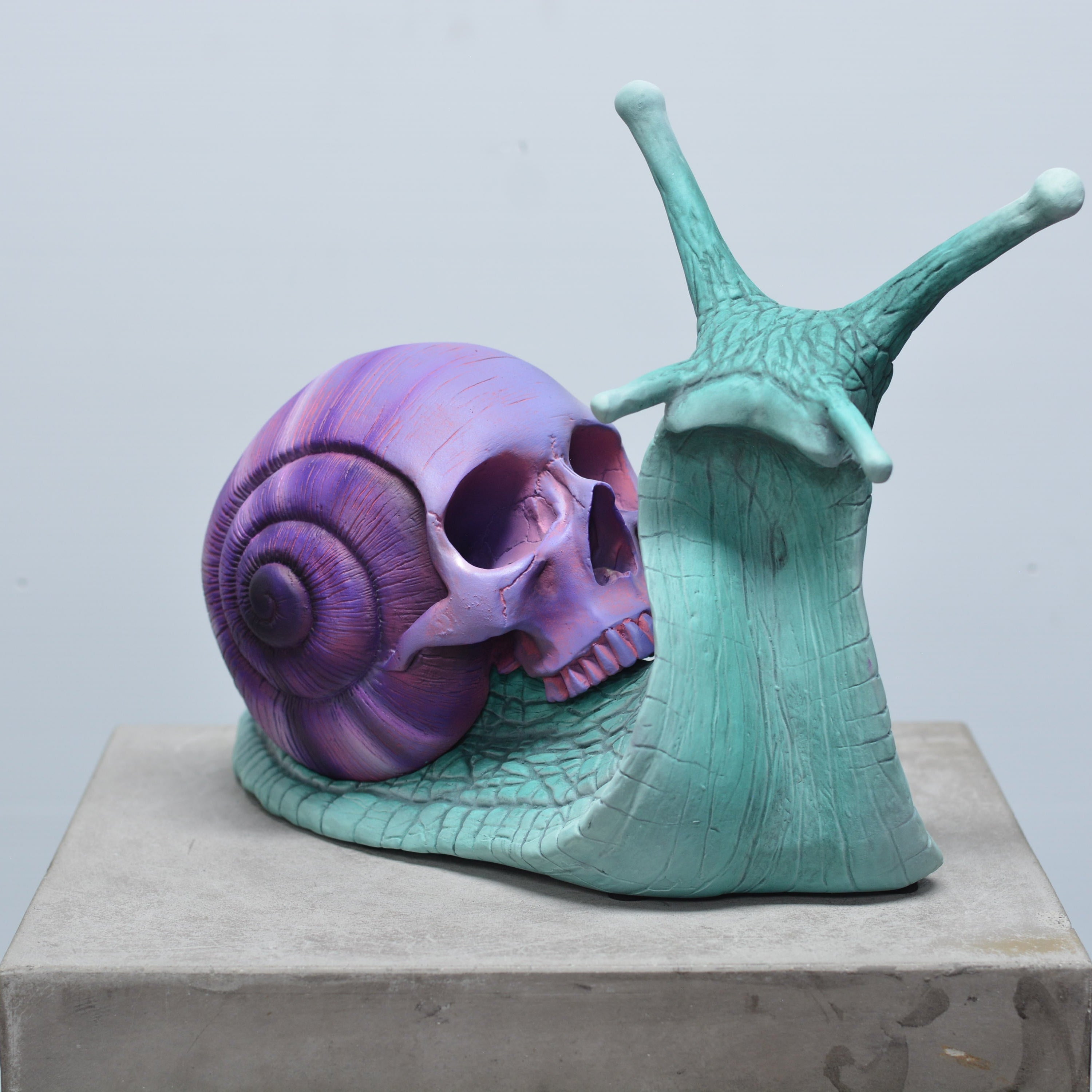 Psychedelic Snail [SCRATCH & DENT] (1)