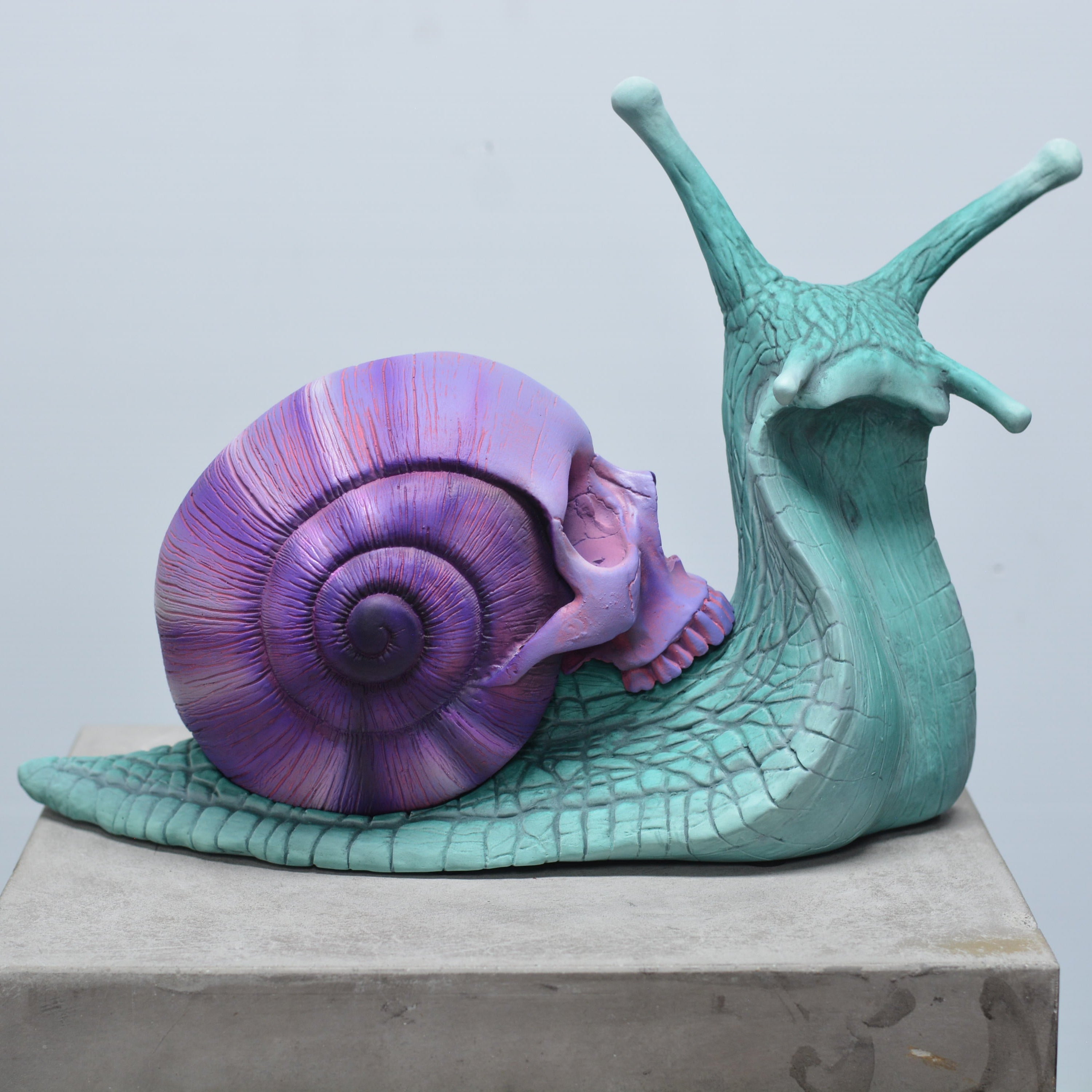 Psychedelic Snail [SCRATCH & DENT] (1)