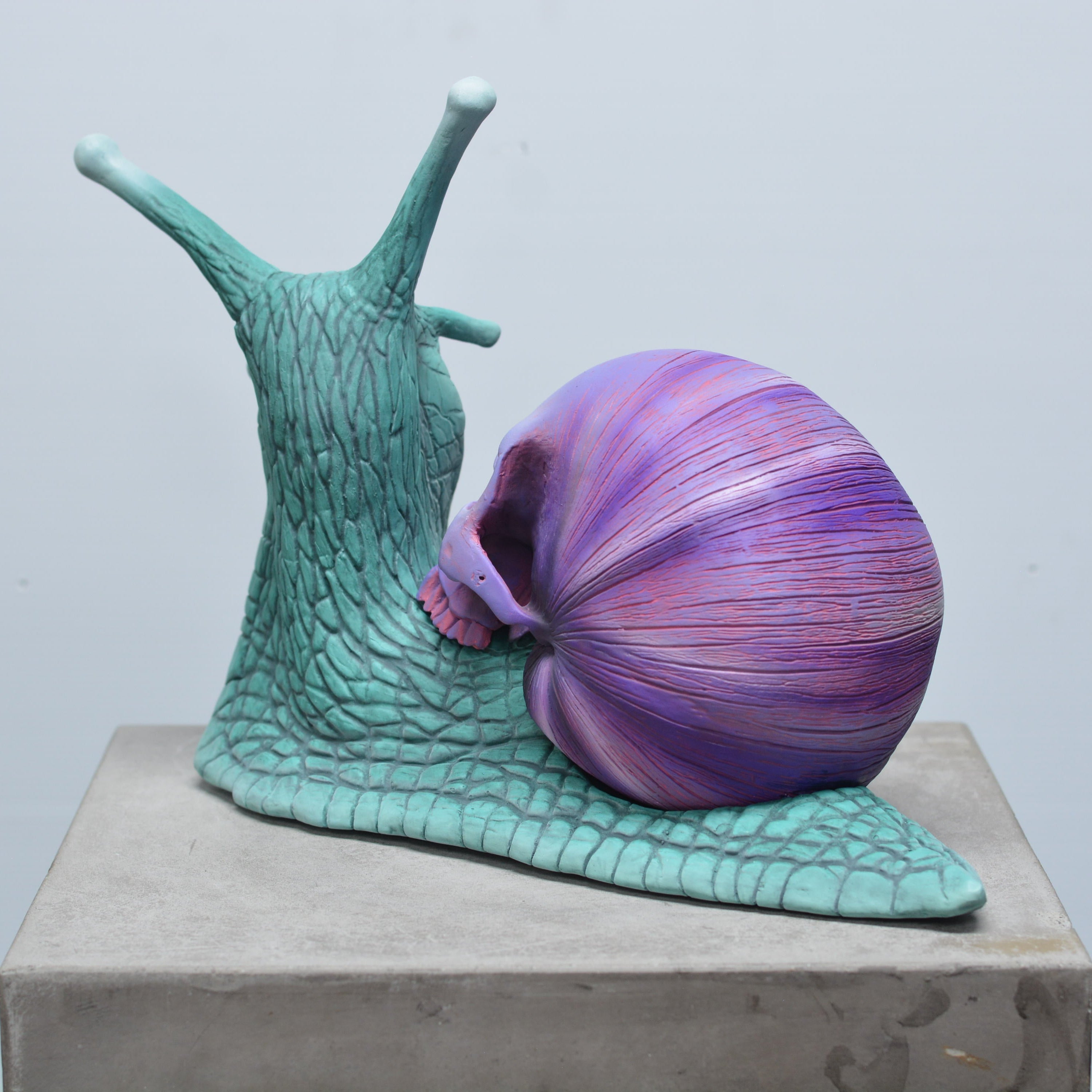 Psychedelic Snail [SCRATCH & DENT] (1)
