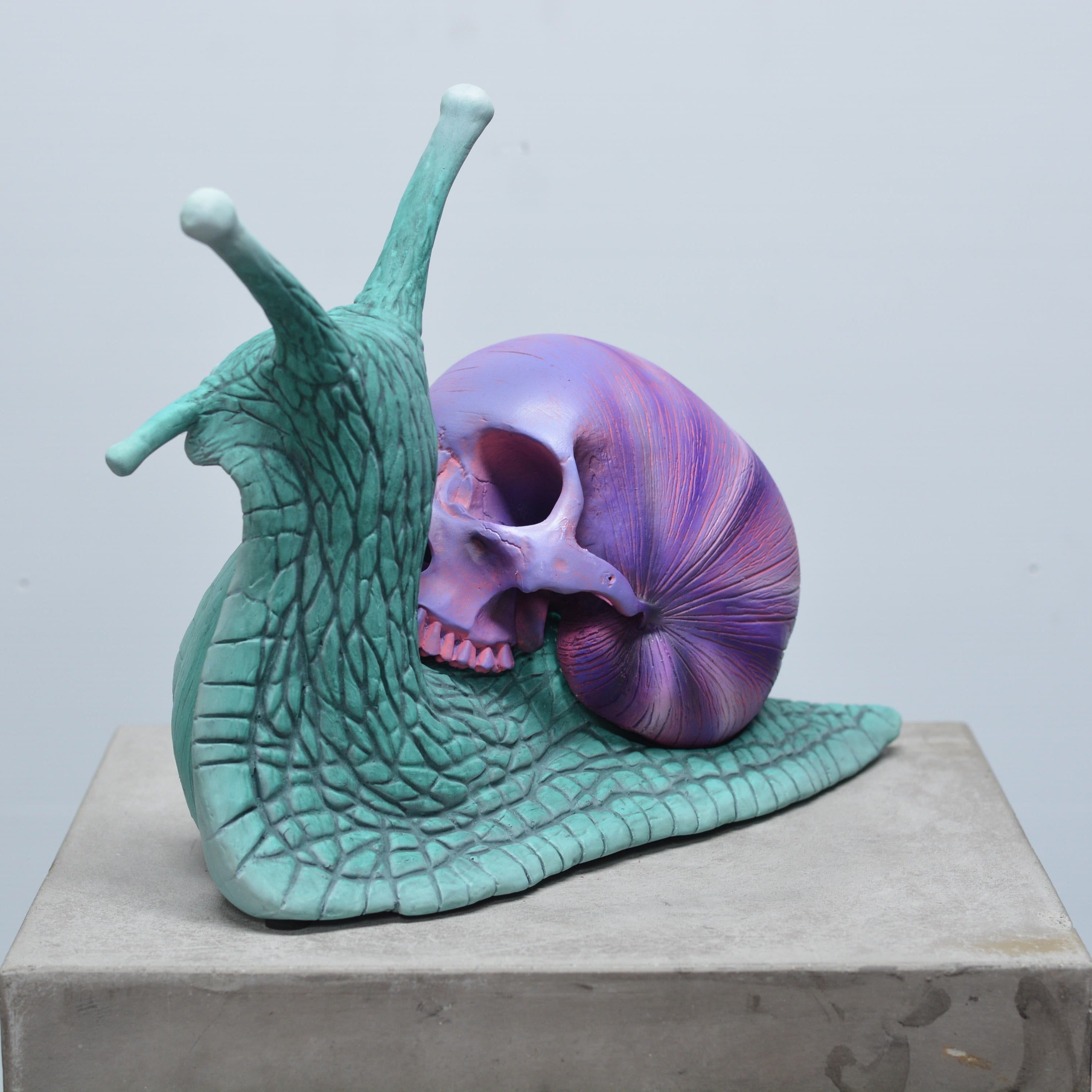 Psychedelic Snail [SCRATCH & DENT] (1)