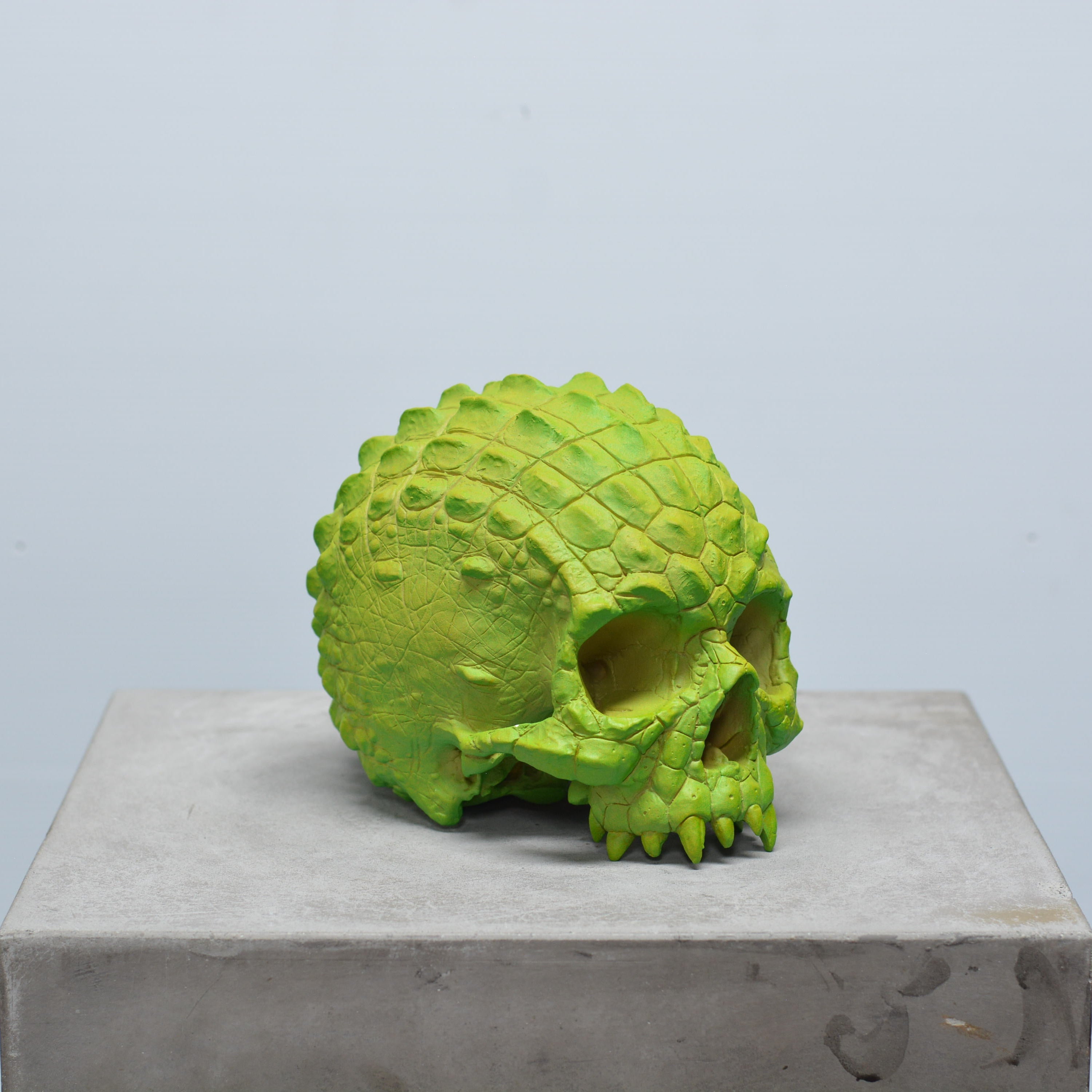 Croc Skull - Lime [EXPERIMENTAL PAINT]