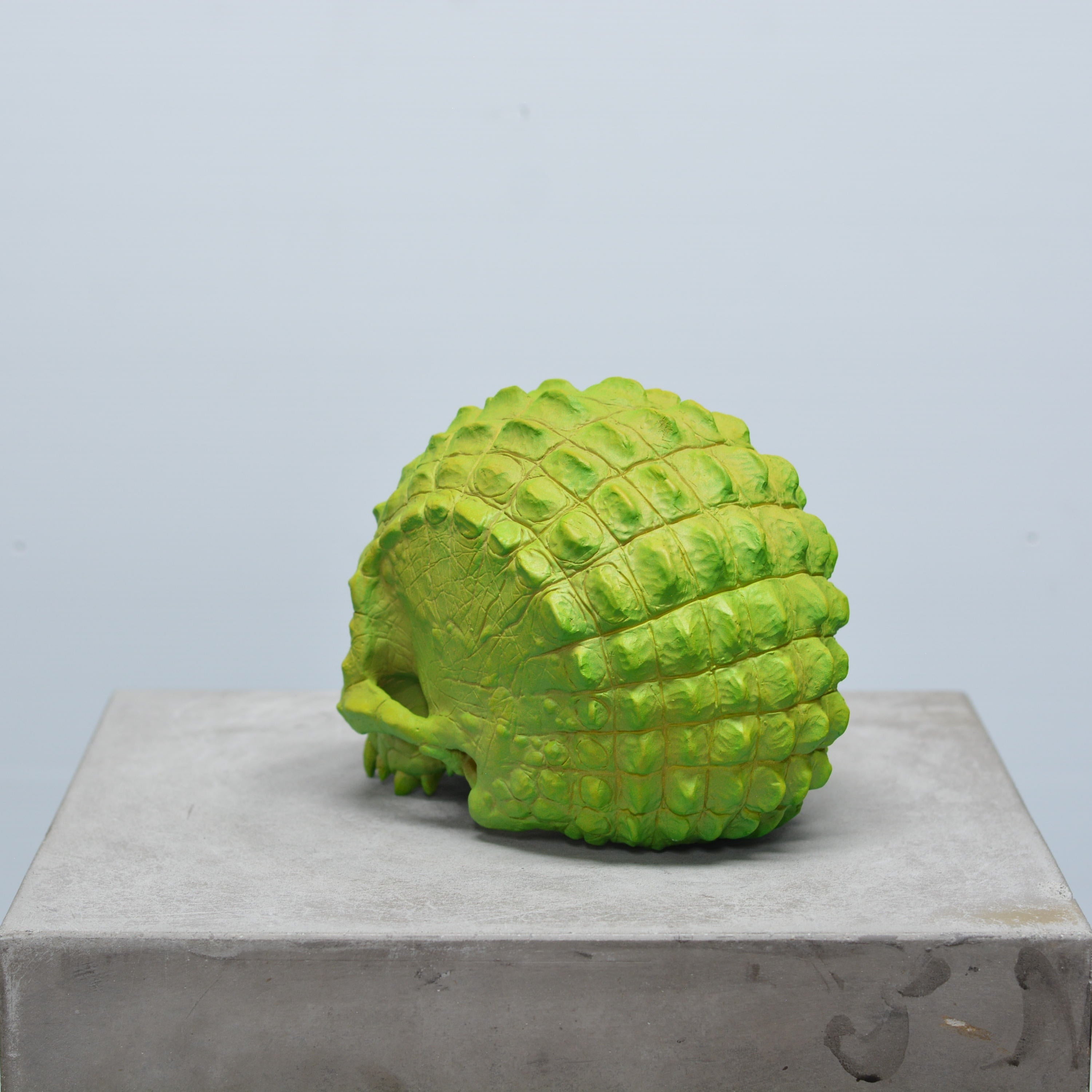 Croc Skull - Lime [EXPERIMENTAL PAINT]