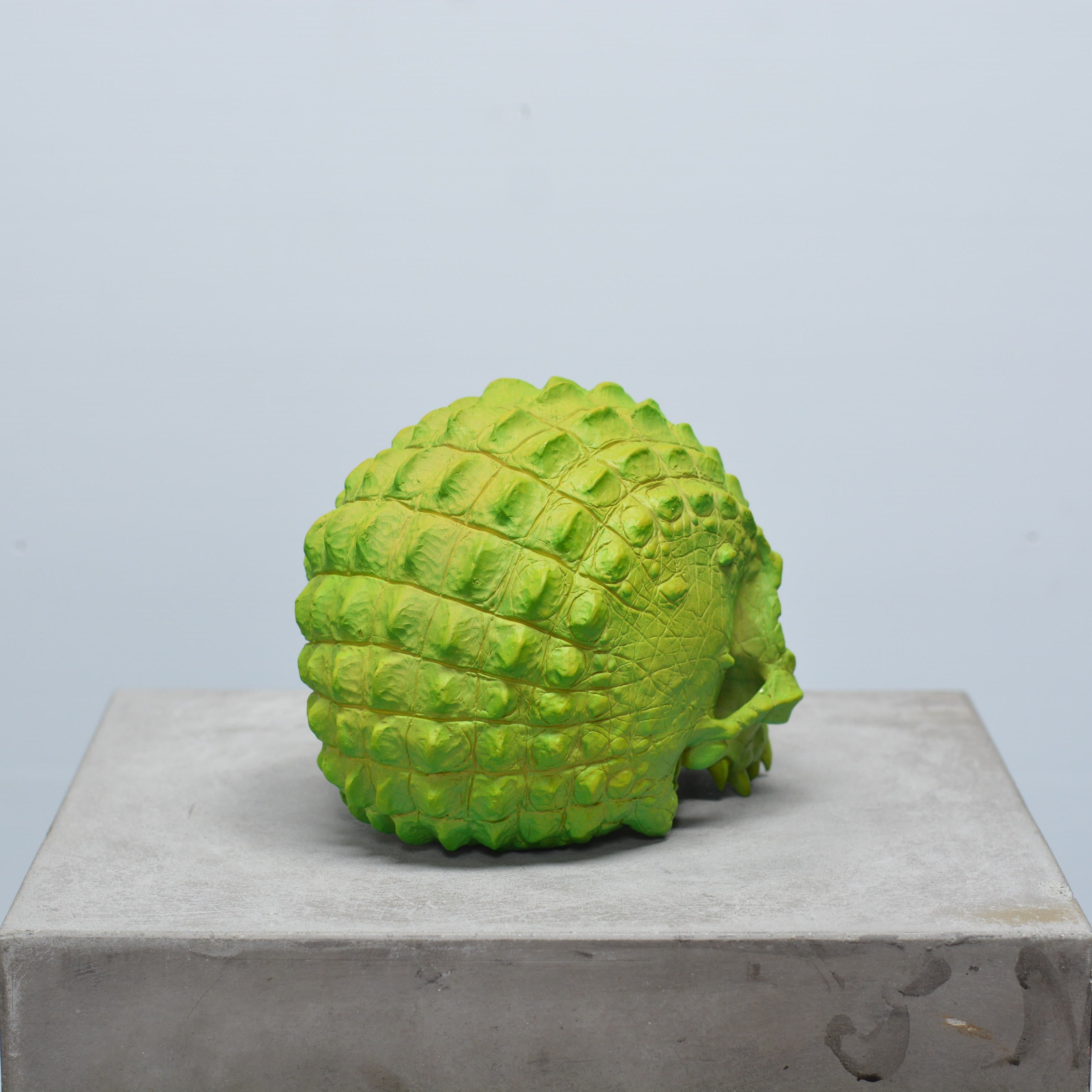 Croc Skull - Lime [EXPERIMENTAL PAINT]