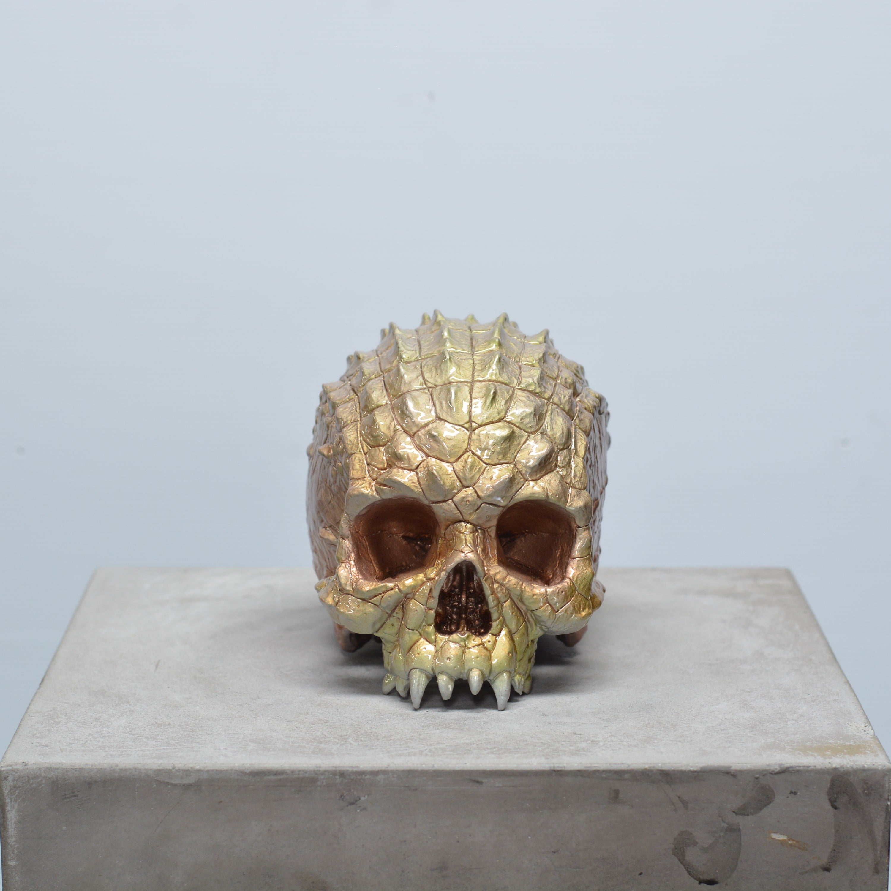 Croc Skull - Trophy [EXPERIMENTAL PAINT]