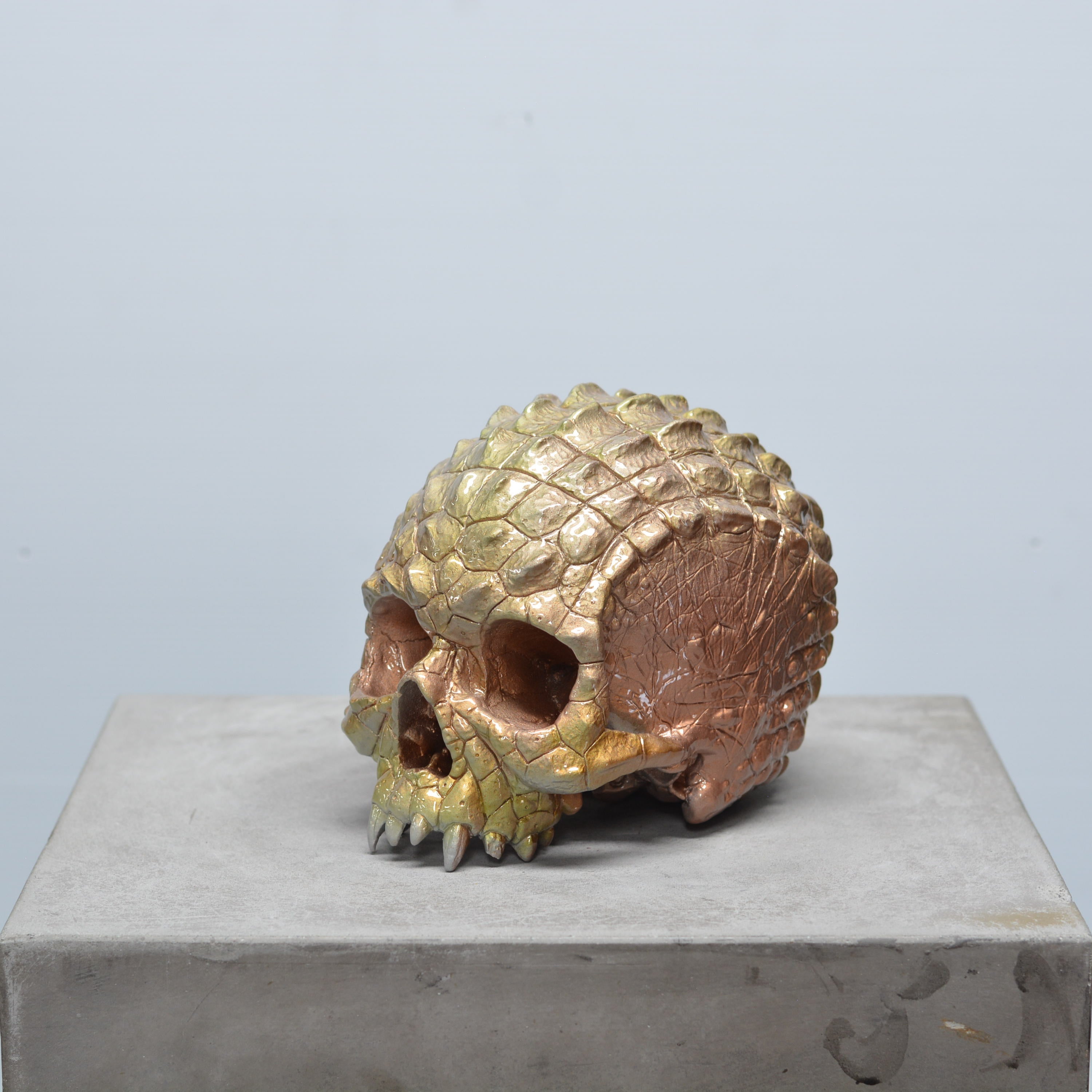 Croc Skull - Trophy [EXPERIMENTAL PAINT]