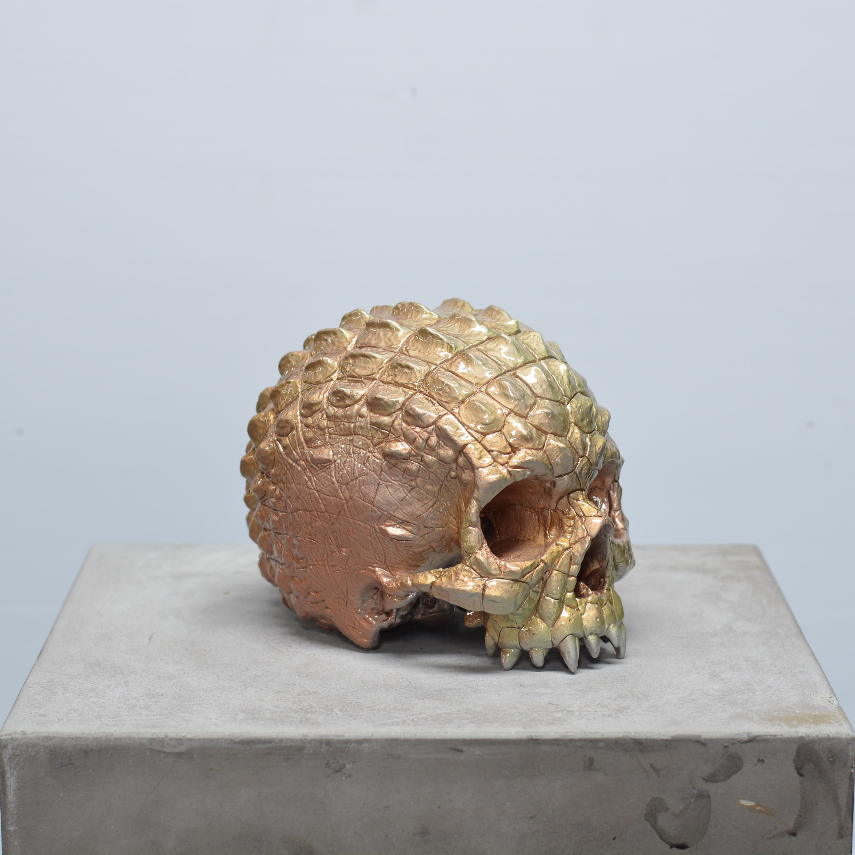 Croc Skull - Trophy [EXPERIMENTAL PAINT]