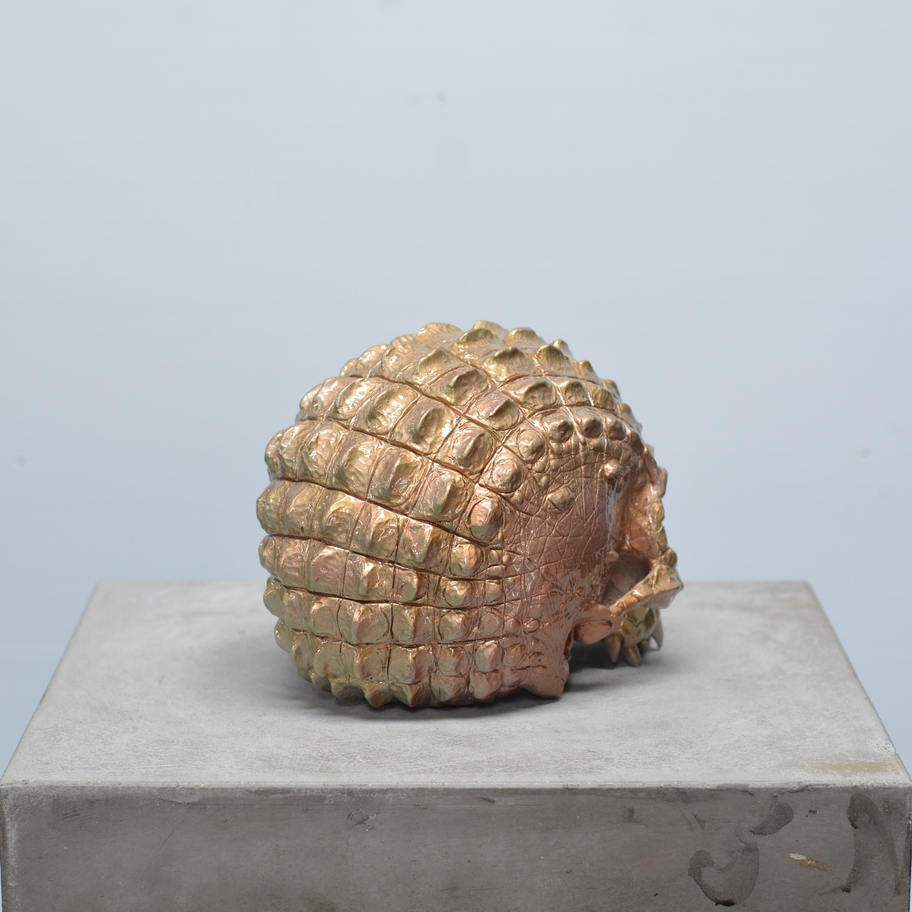 Croc Skull - Trophy [EXPERIMENTAL PAINT]
