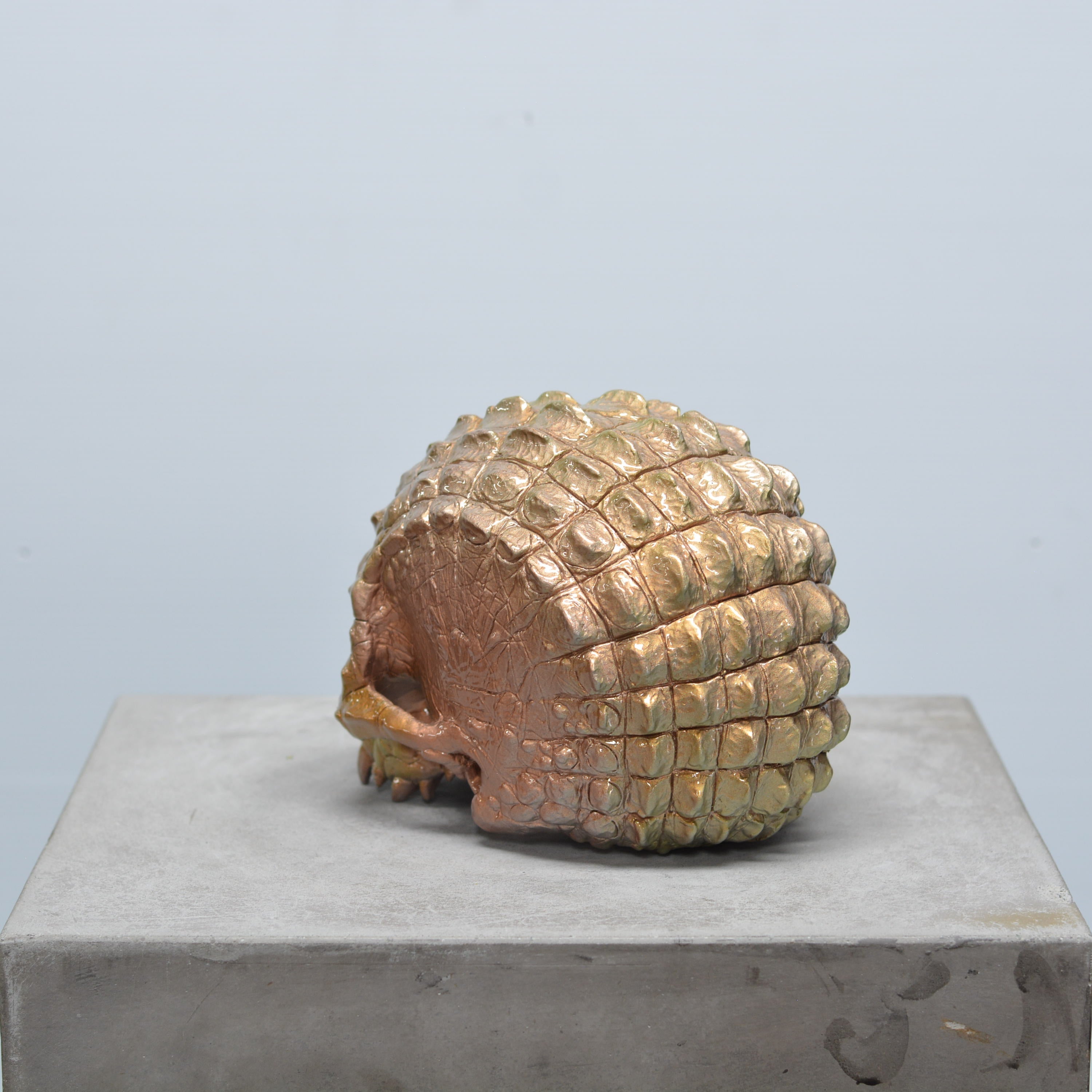 Croc Skull - Trophy [EXPERIMENTAL PAINT]