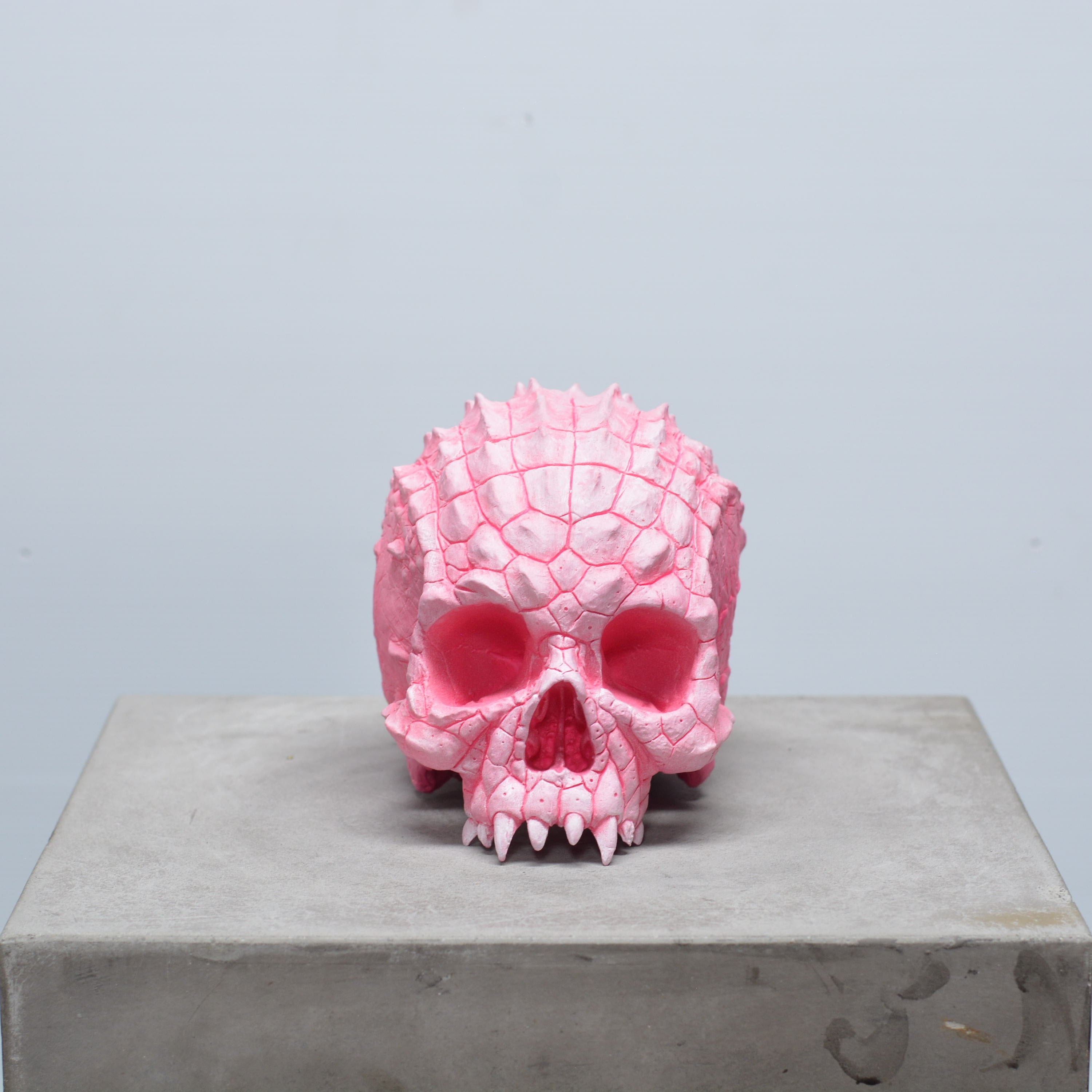 Croc Skull - Pink [EXPERIMENTAL PAINT]