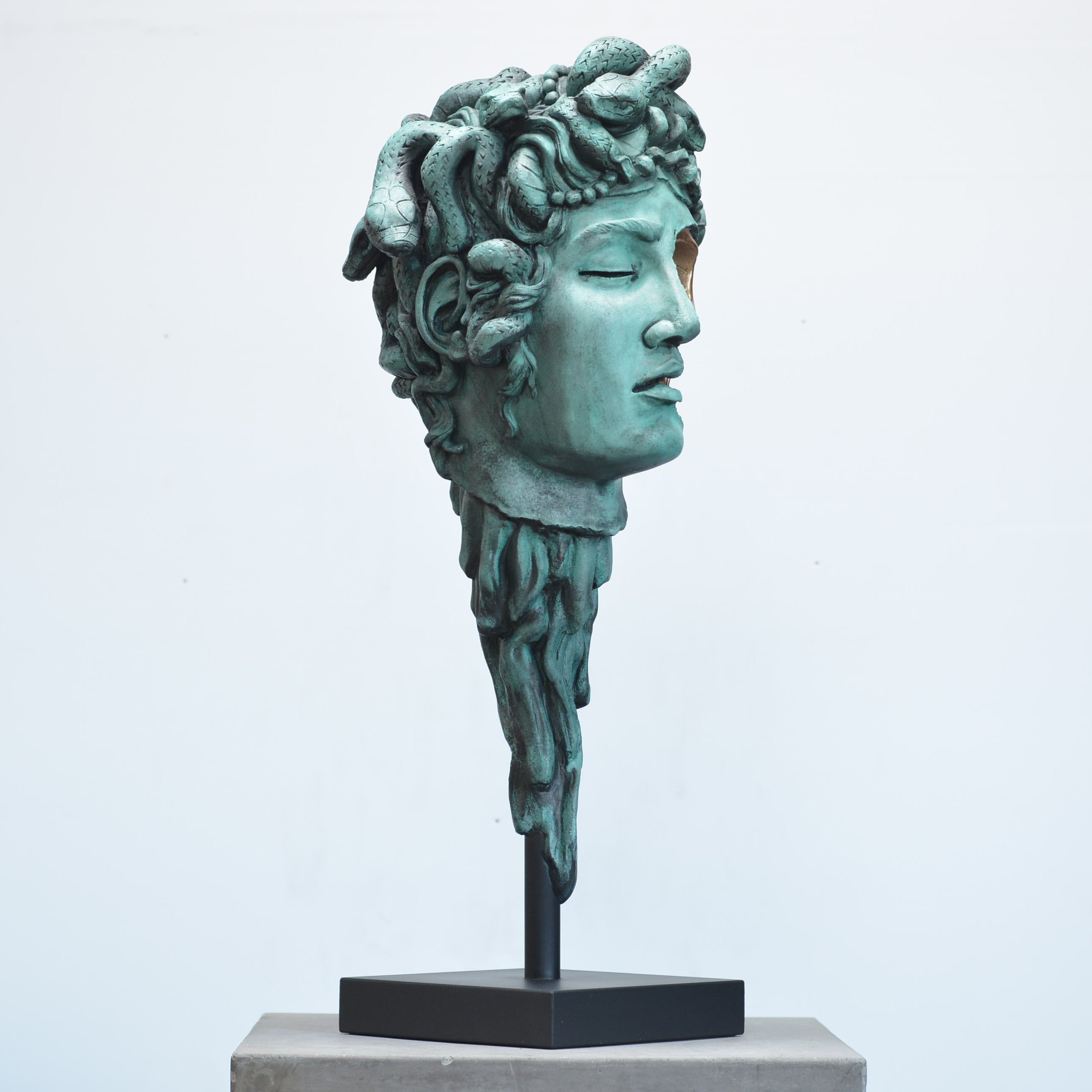 Medusa - Verdigris [SCRATCH & DENT] (3)