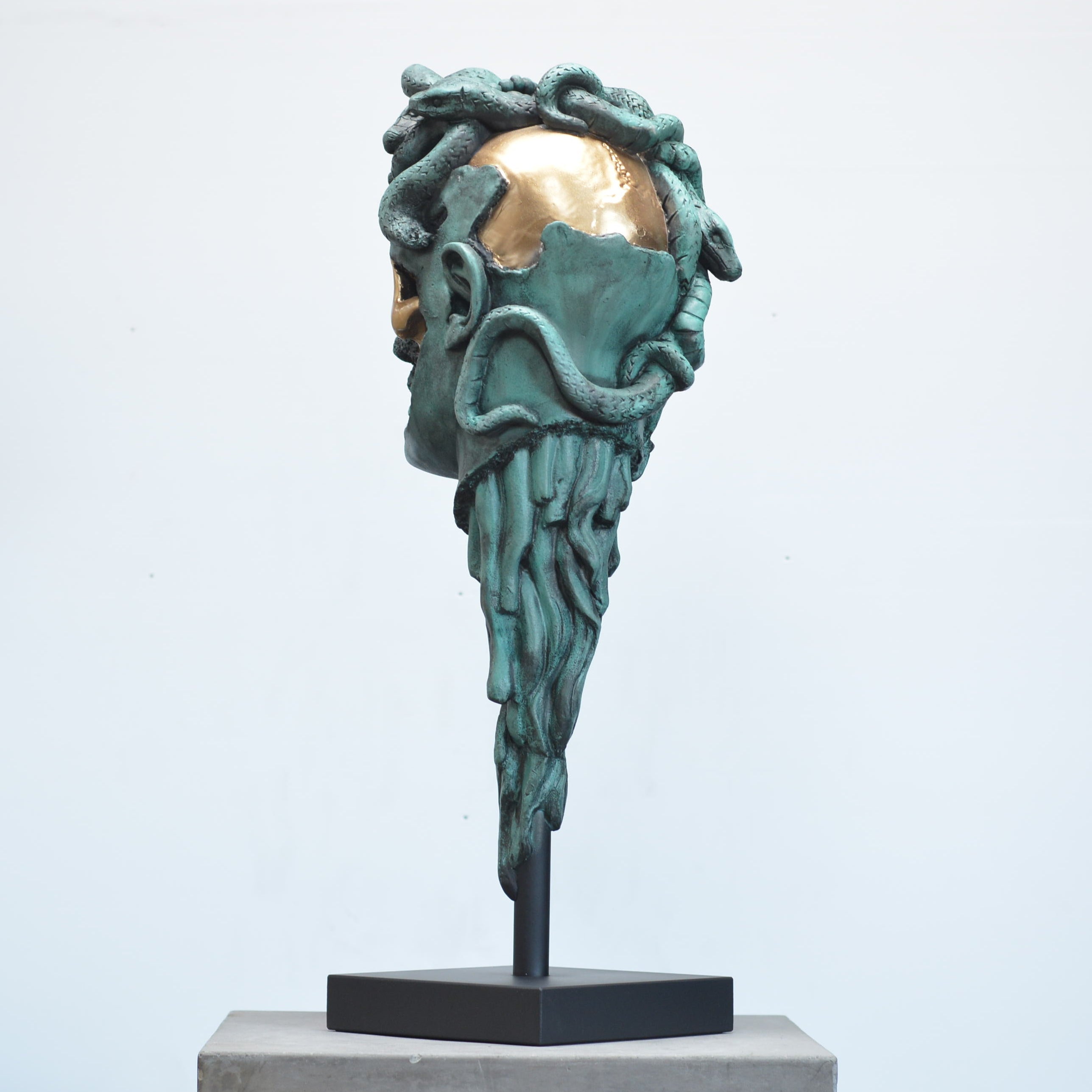 Medusa - Verdigris [SCRATCH & DENT] (3)