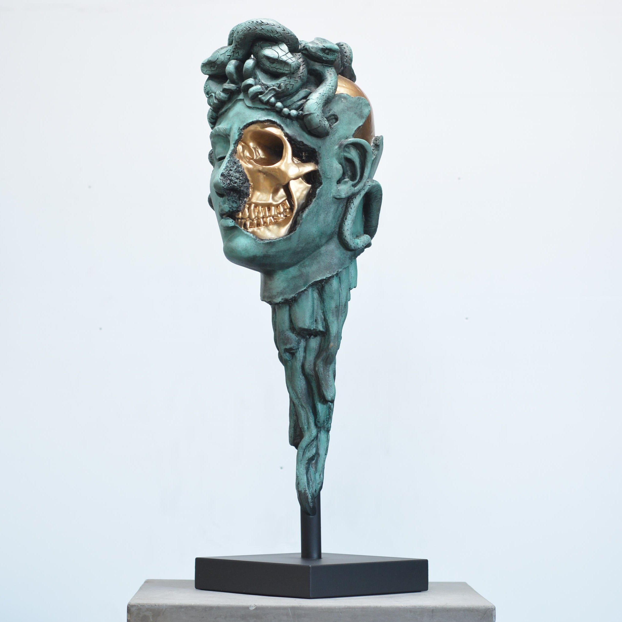 Medusa - Verdigris [SCRATCH & DENT] (3)