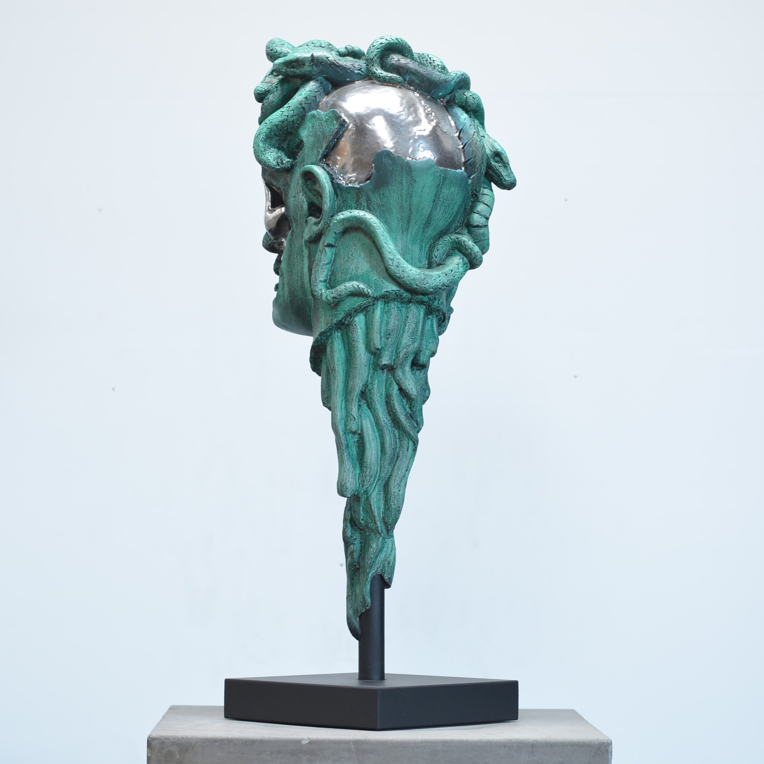 Medusa - Verdigris [SCRATCH & DENT] (5