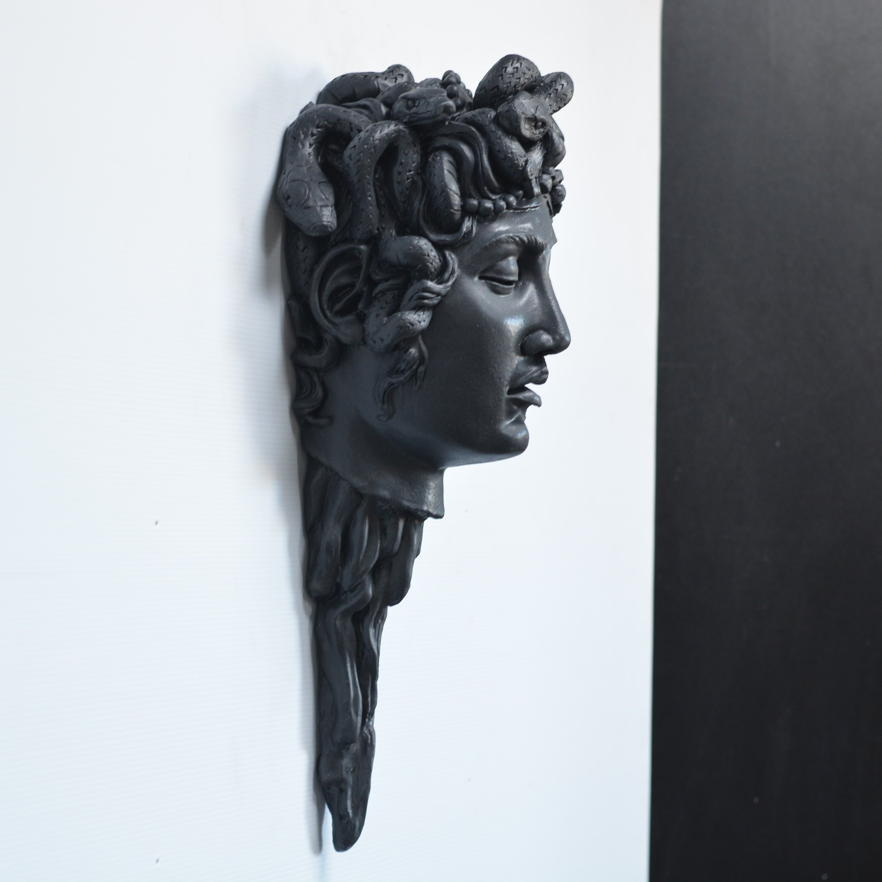 Medusa - Wall mount [SCRATCH & DENT] black beauty