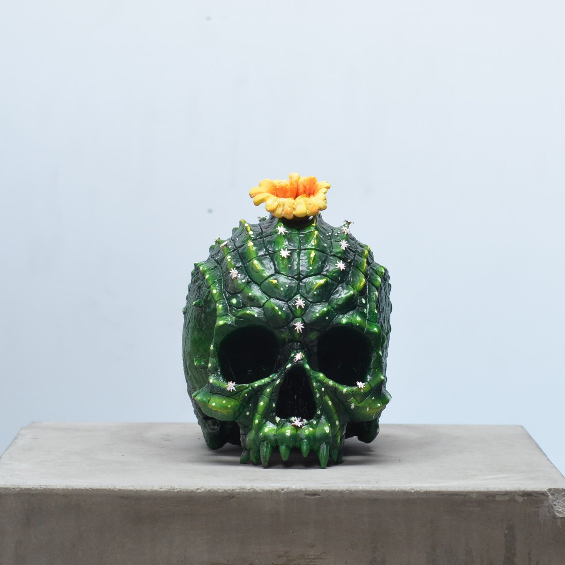 Croc Skull - Coryphanta Cactus [EXPERIMENTAL PAINT]