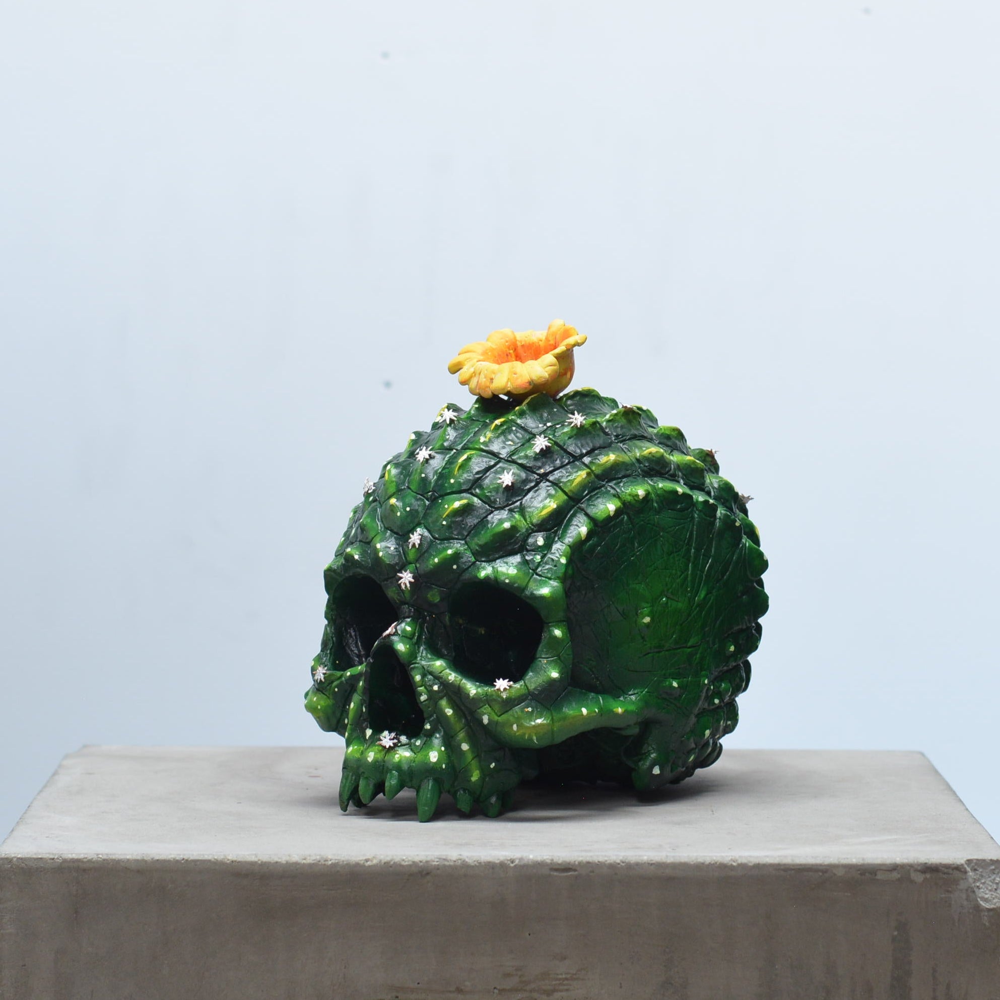 Croc Skull - Coryphanta Cactus [EXPERIMENTAL PAINT]