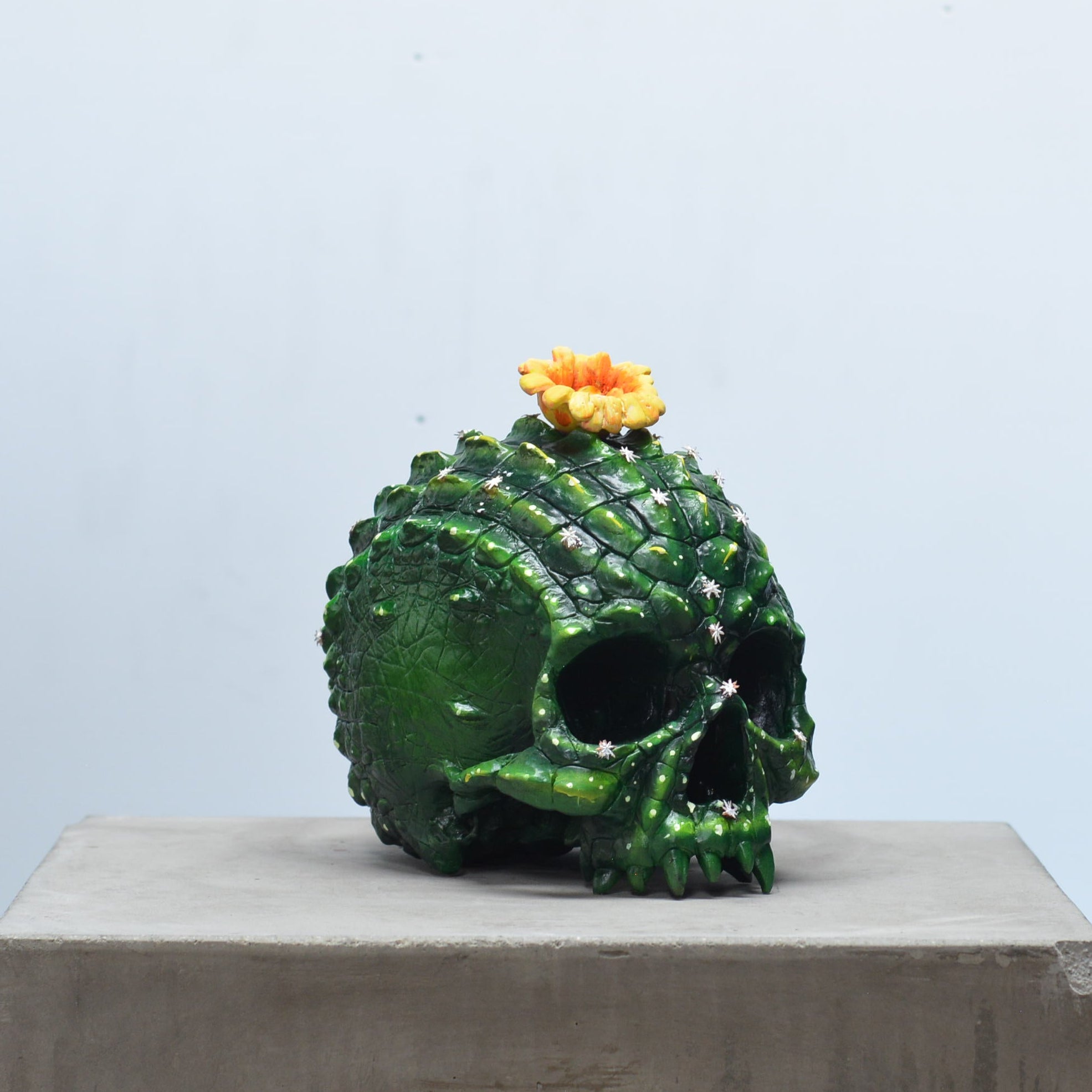 Croc Skull - Coryphanta Cactus [EXPERIMENTAL PAINT]