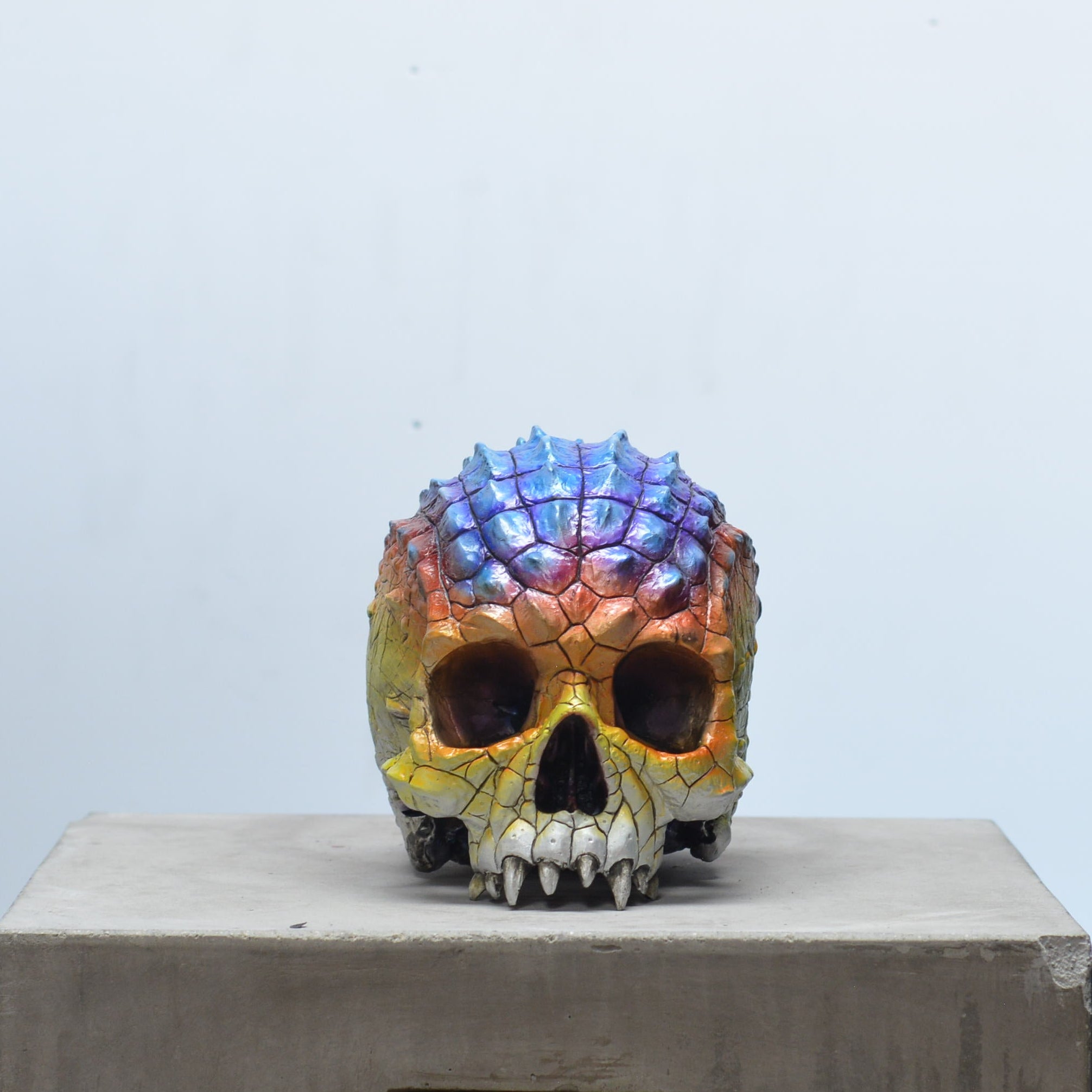 Croc Skull - Heated [EXPERIMENTAL PAINT]