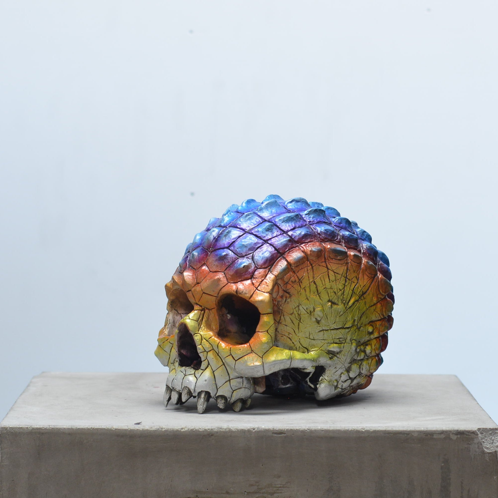 Croc Skull - Heated [EXPERIMENTAL PAINT]