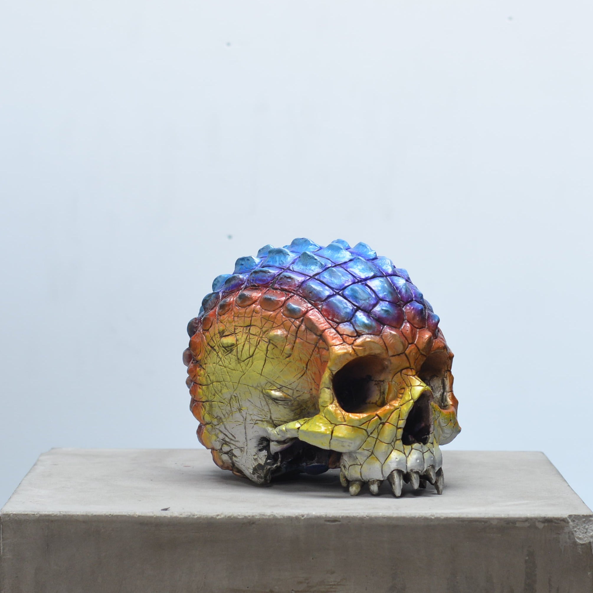 Croc Skull - Heated [EXPERIMENTAL PAINT]